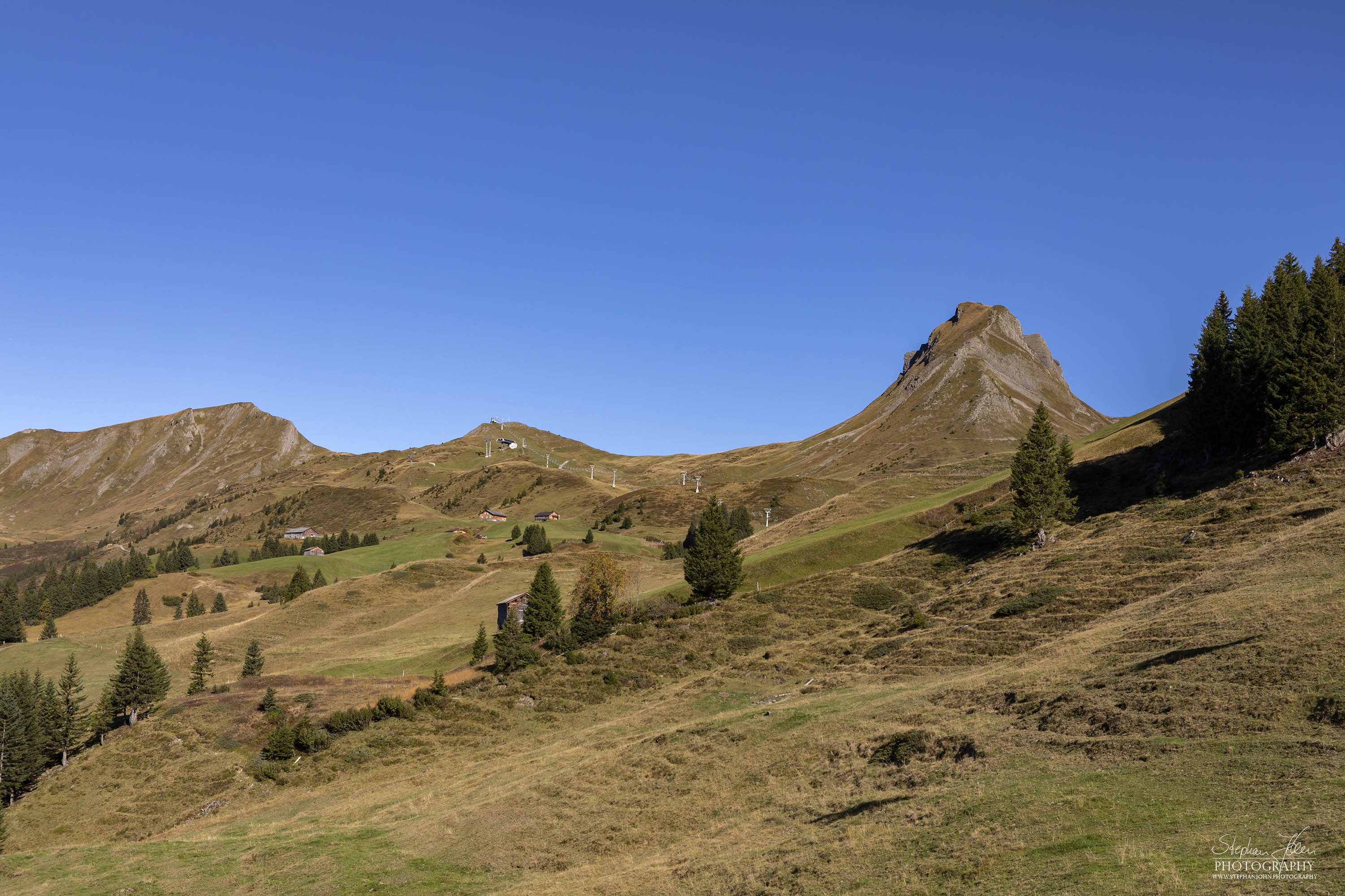 Blick zur Damülser Mittagsspitze (2.095 m).