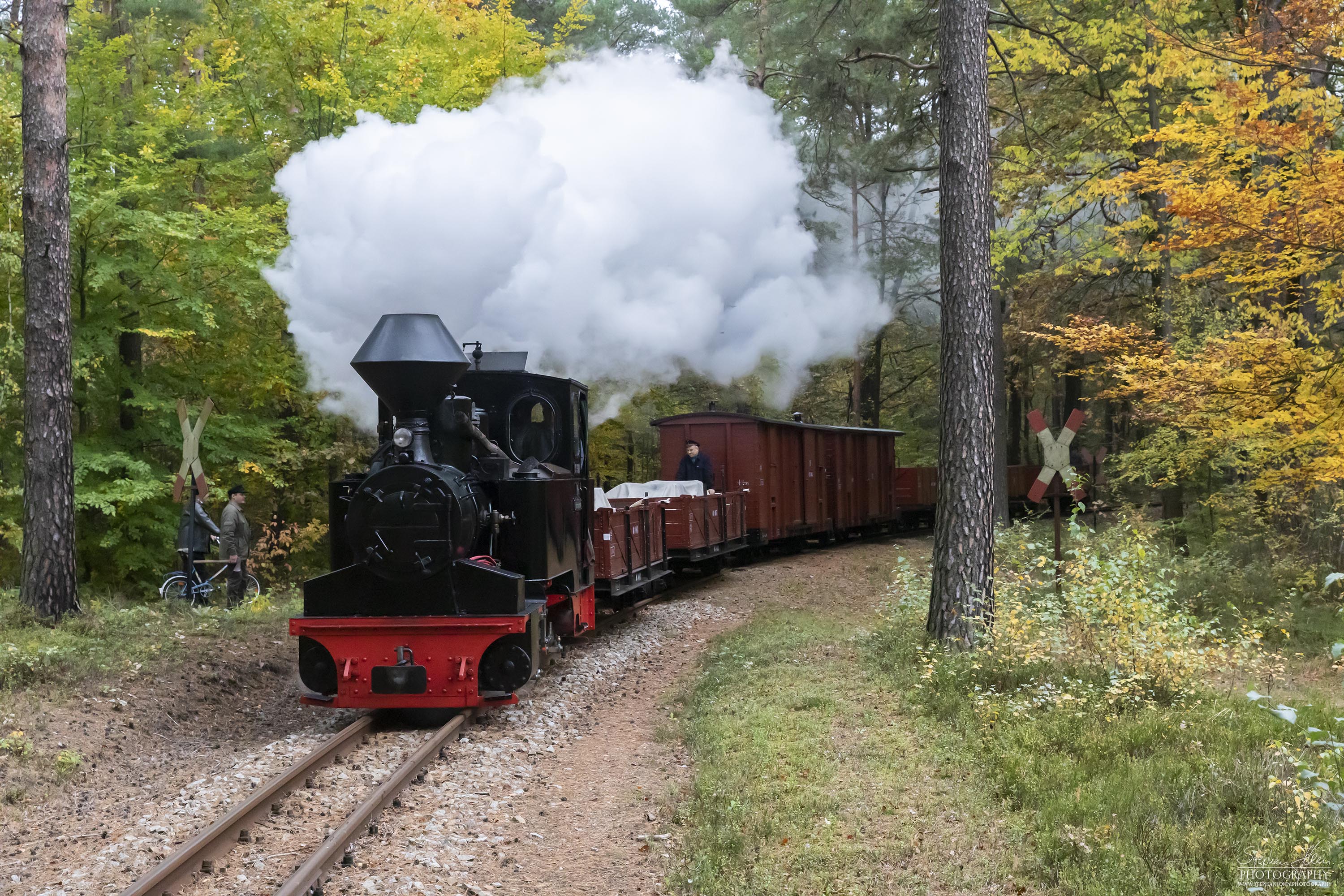 Lok 99 3312-8 mit einem Güterzug von Bad Muskau in Richtung Weißwasser dampft durch den bunten Herbstwald