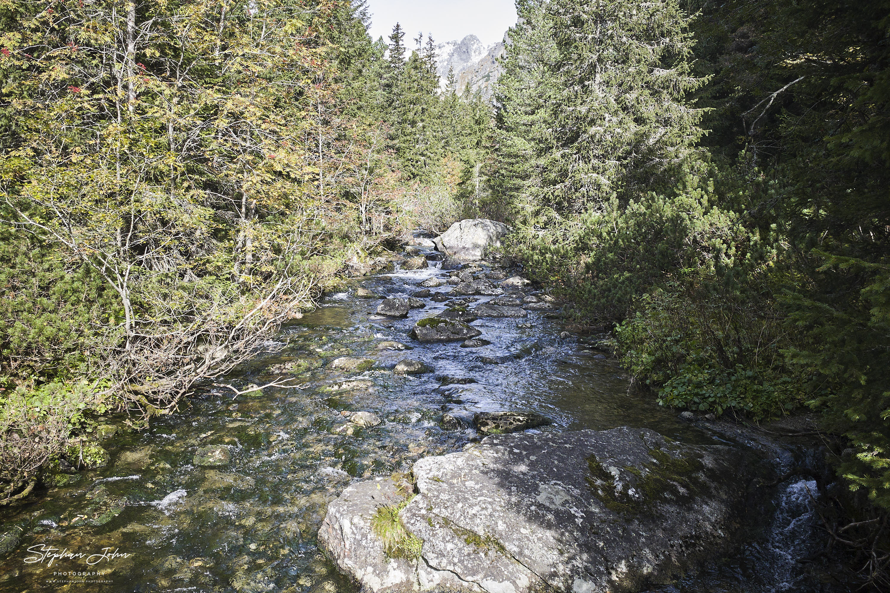 Bergfluß auf dem Weg vom Symbolischen Friedhof nach Stebske Pleso