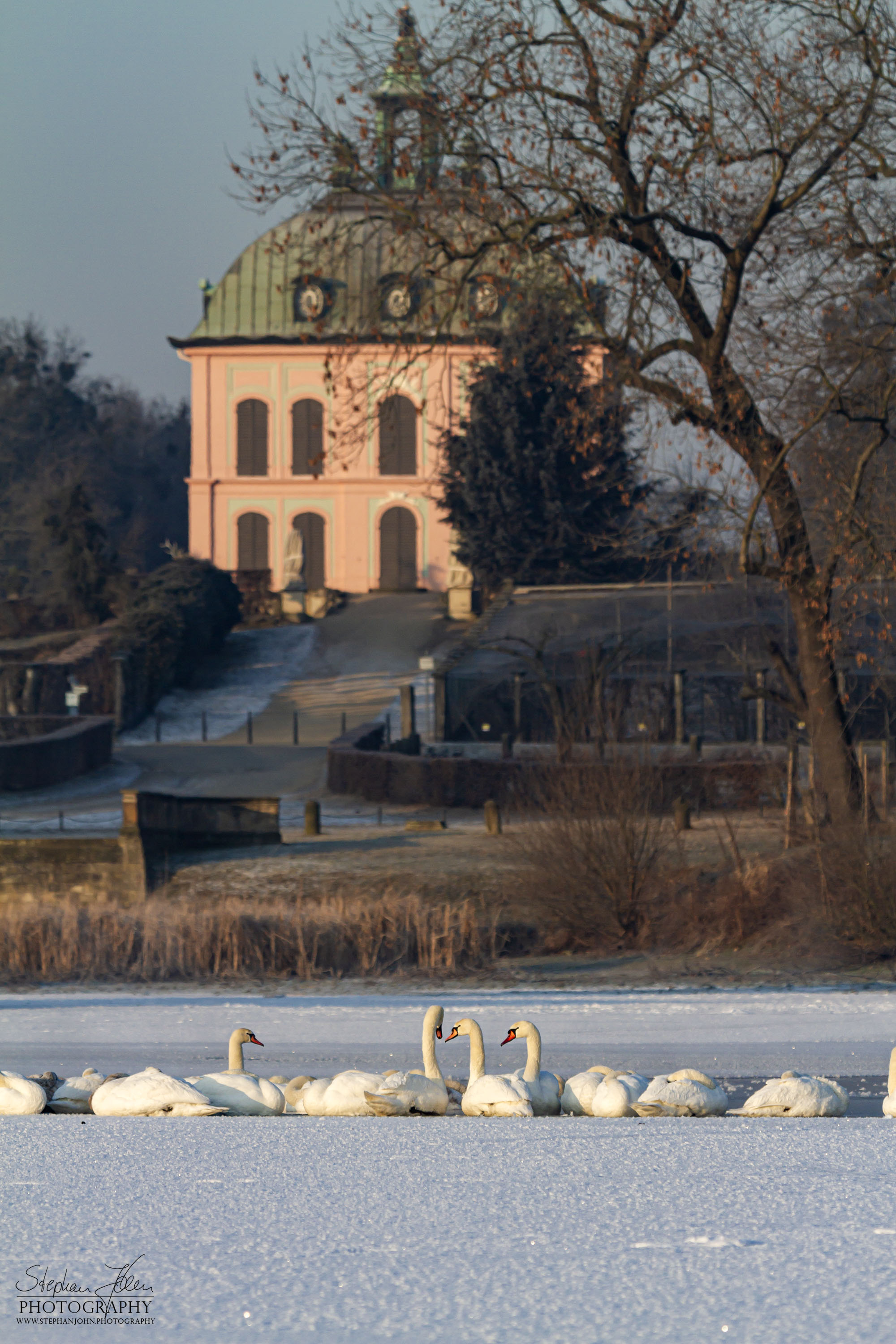 <p>Schwäne vor dem Fasanenschlösschen am Niederen Großteich Bärnsdorf</p>