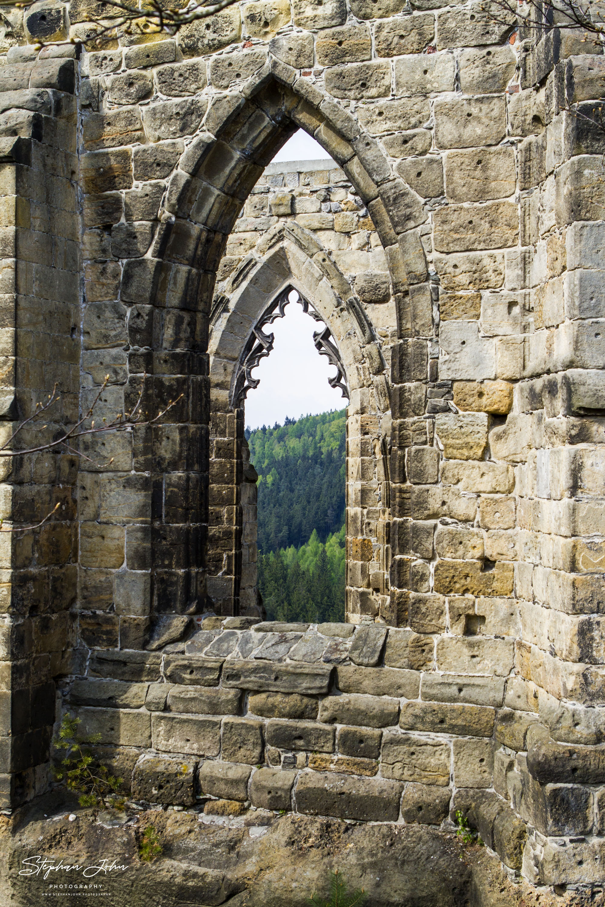 In der Ruine des Klosters Oybin