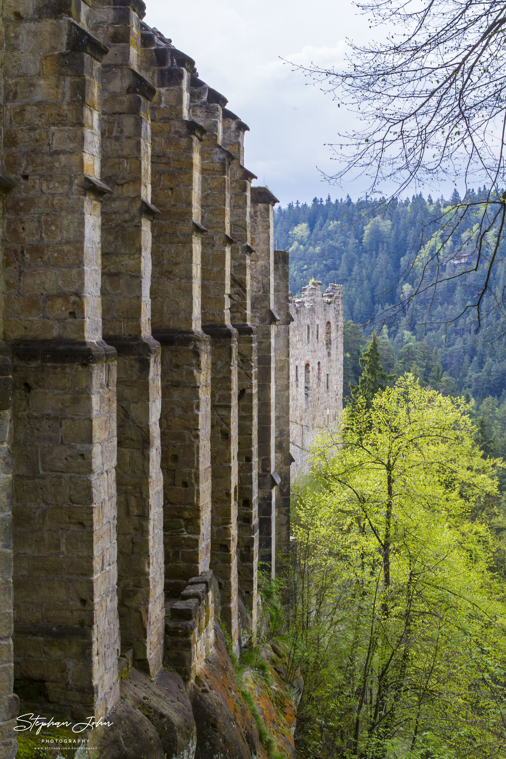 In der Ruine des Klosters Oybin