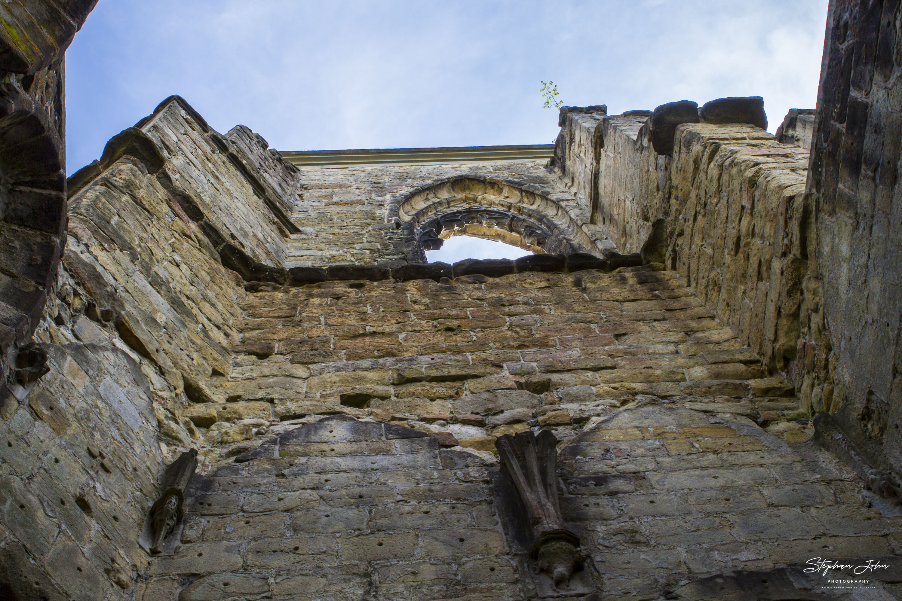 In der Ruine des Klosters Oybin