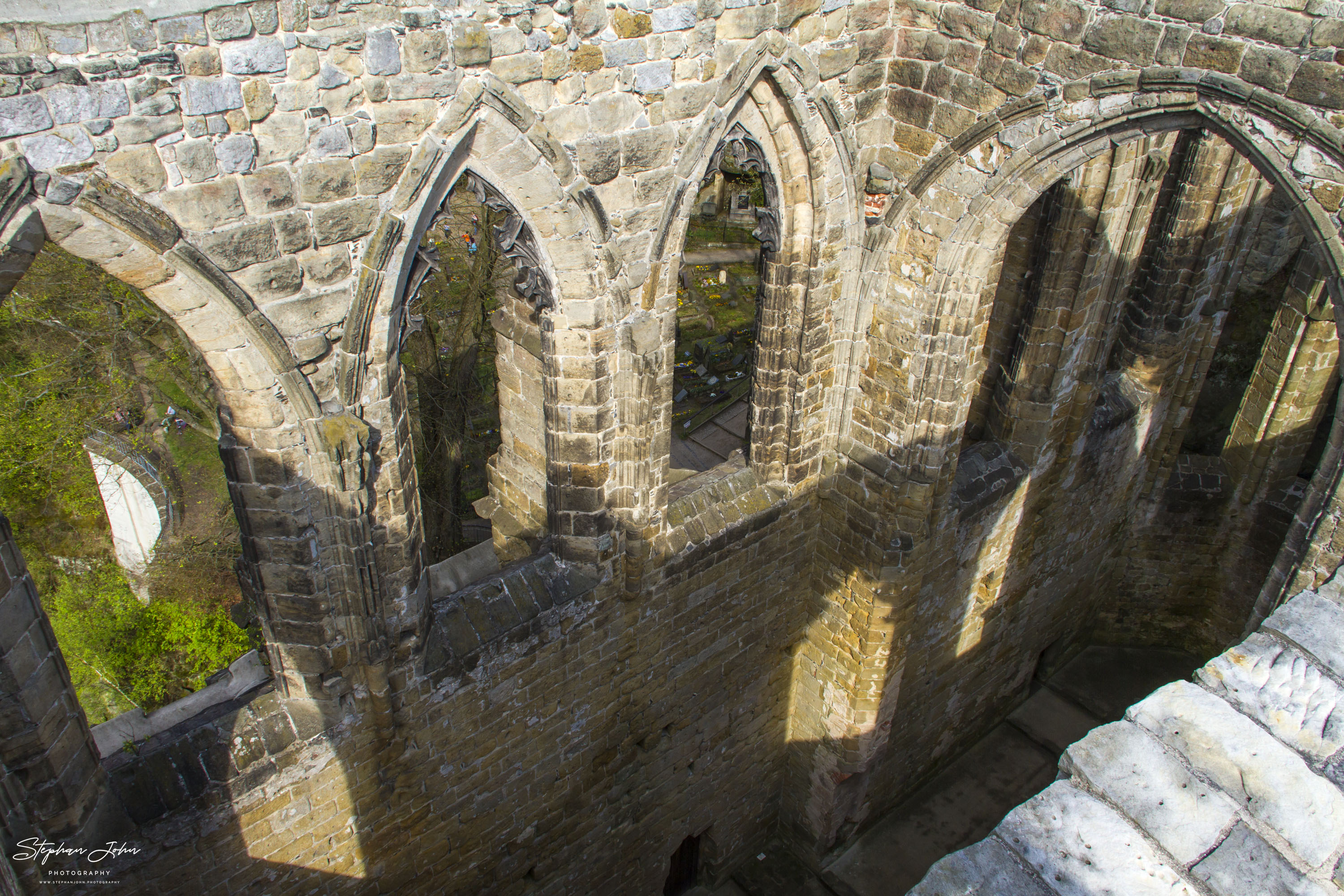 In der Ruine des Klosters Oybin