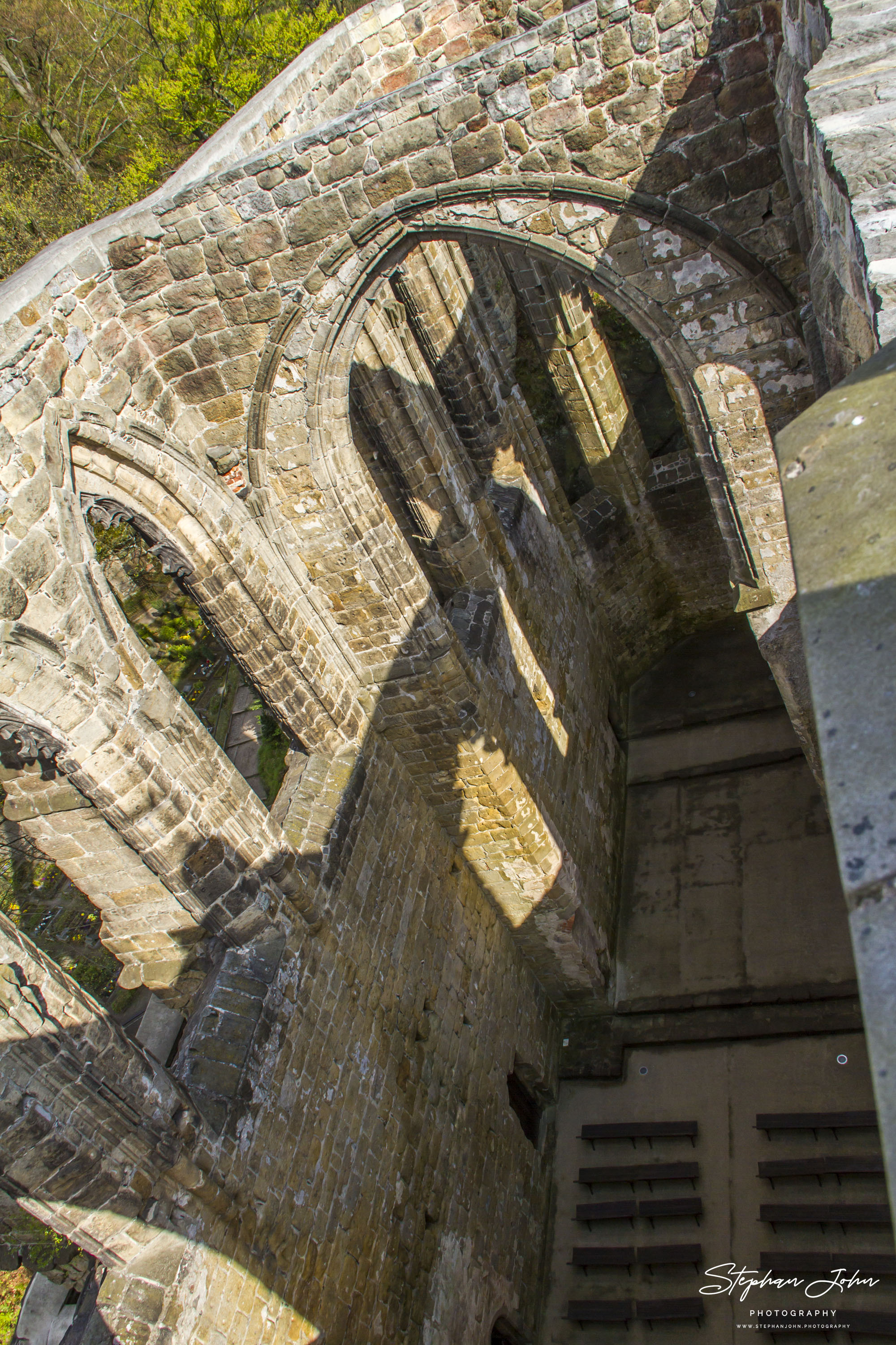 In der Ruine des Klosters Oybin