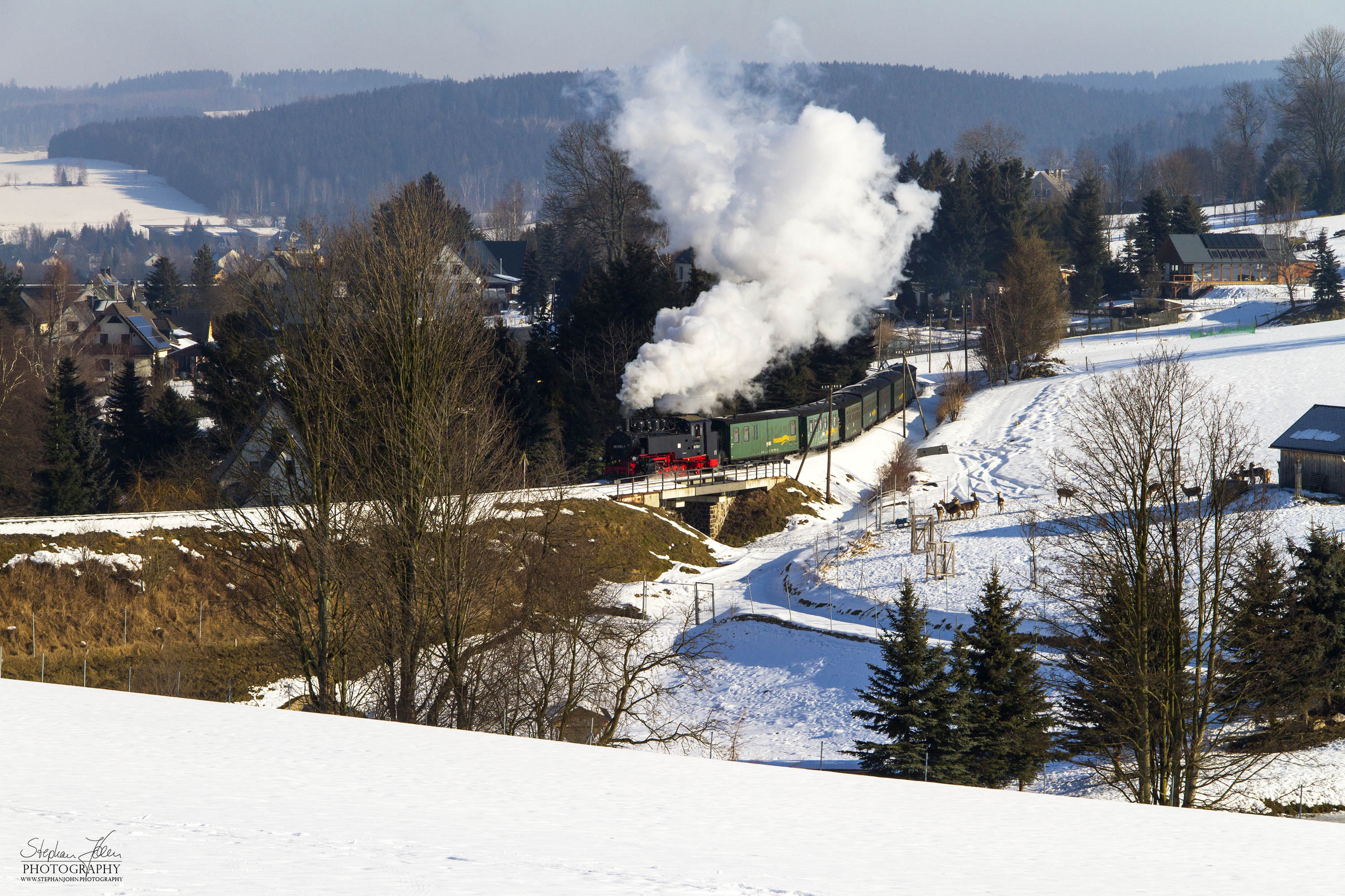 Zug P1001 nach Oberwiesenthal kurz nach Cranzahl