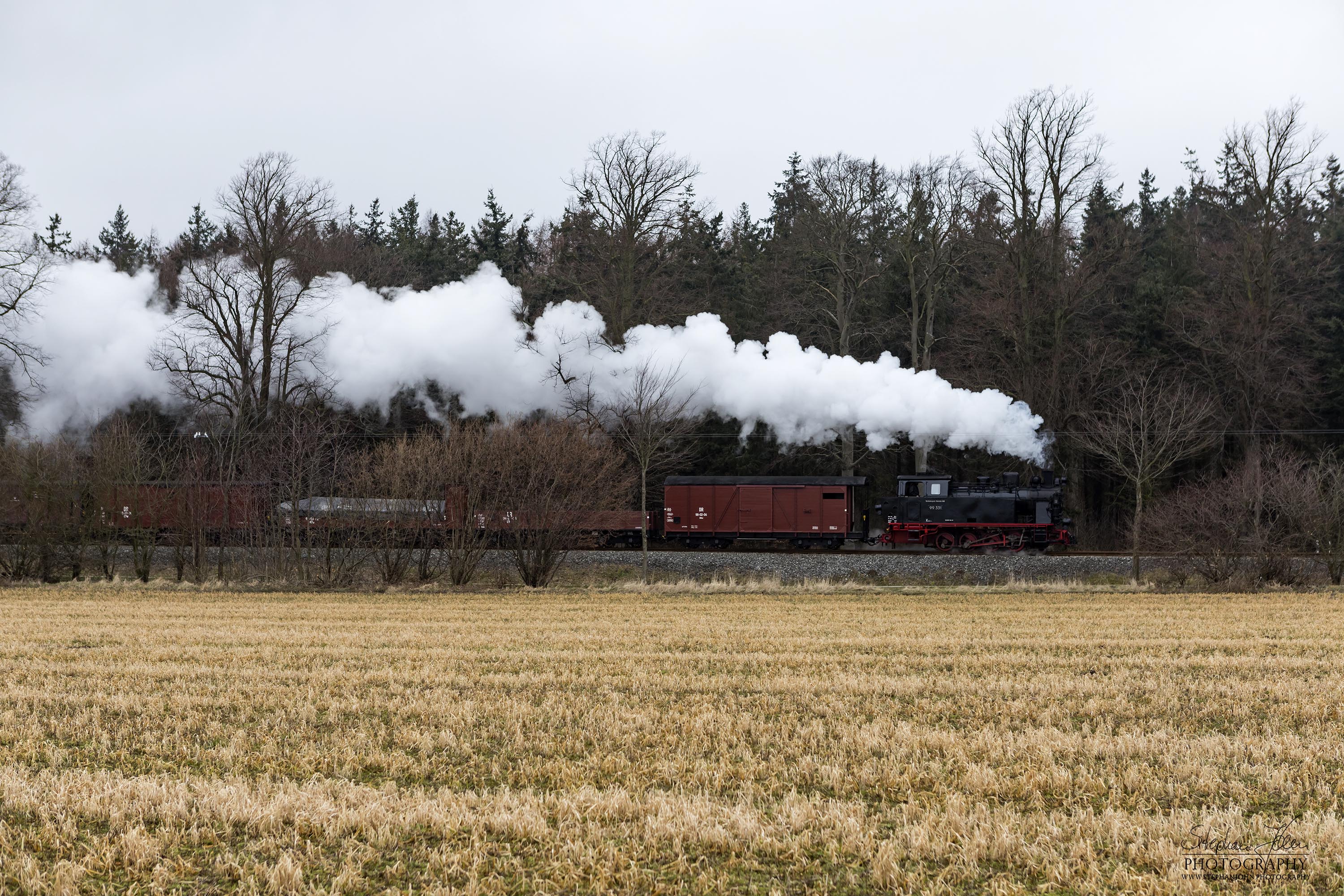 Lok 99 331 mit einem Güterzug der Epoche III zwischen dem Bahnhof Rennbahn und Bad Doberan. Die Zugbildung des Güterzuges entspricht der Zeit in den sechziger Jahren, als beim Molli noch Güterzugverkehr durchgeführt wurde.