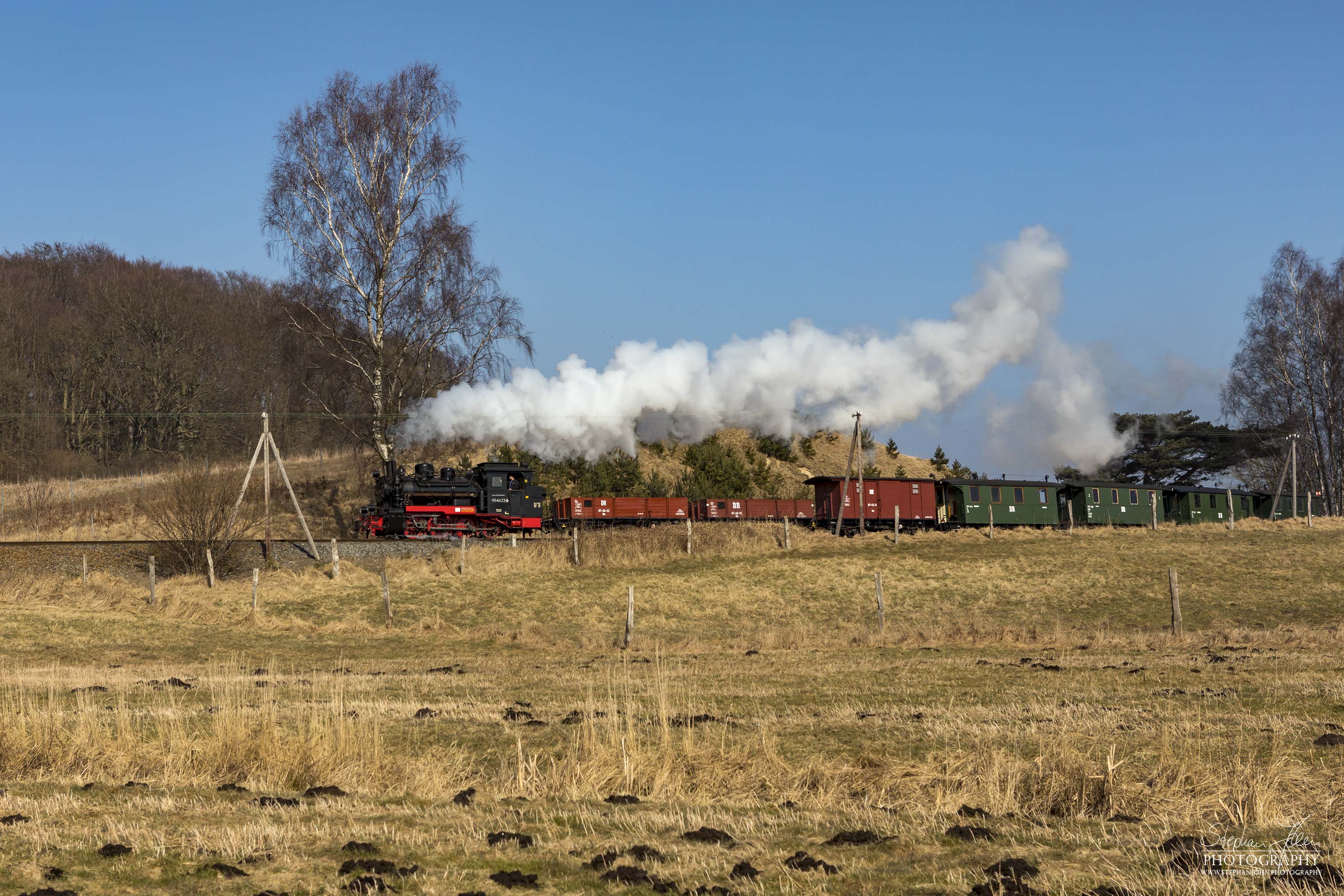 Die Rügen-Lok 99 4633-6 dampft mit einem GmP in Richtung Putbus. Hier werden gerade die Wiesen zwischen Serams und Seelvitz passiert