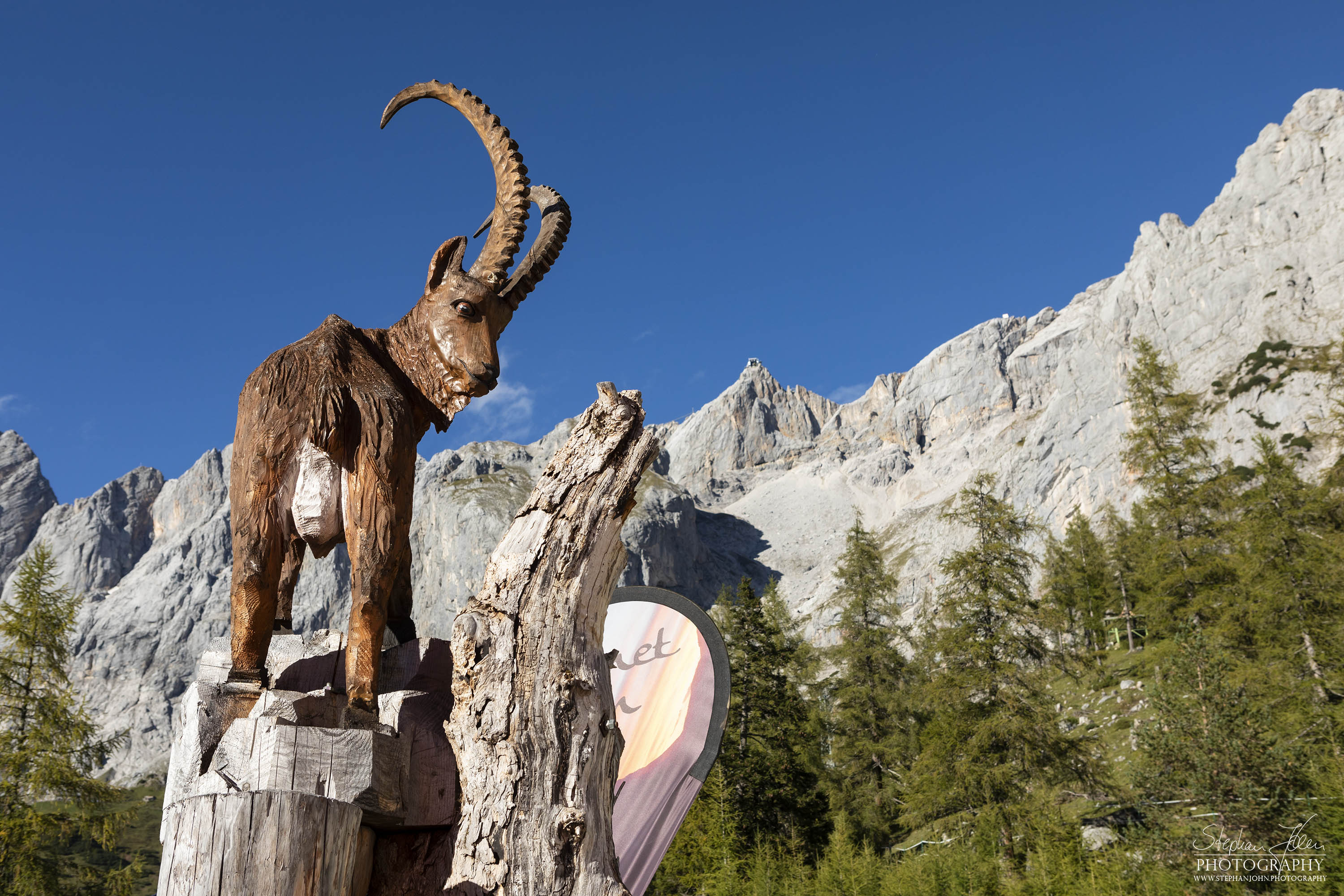 Holzskulptur vor dem Berghotel Türlwand