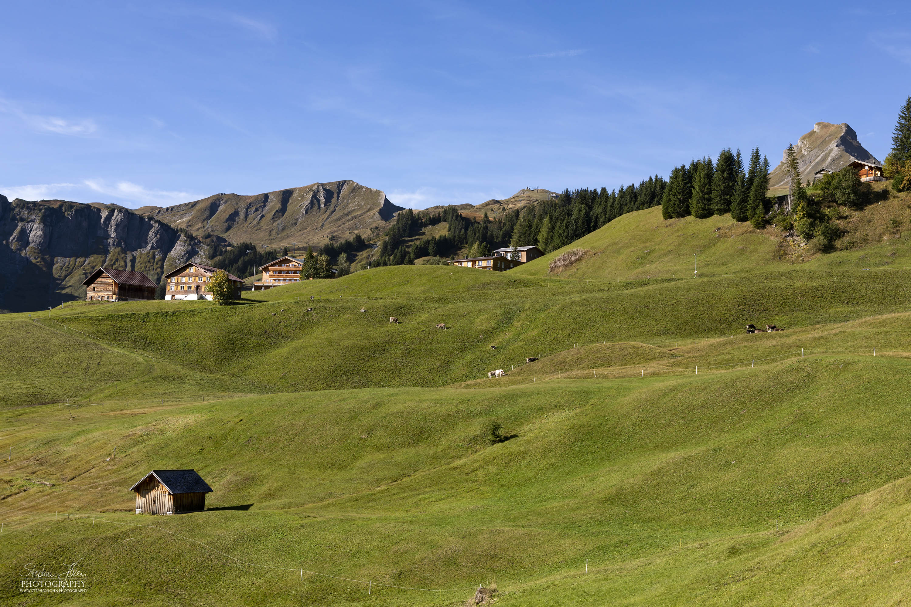 Blick über die Wiesen in Richtung Walisgaden