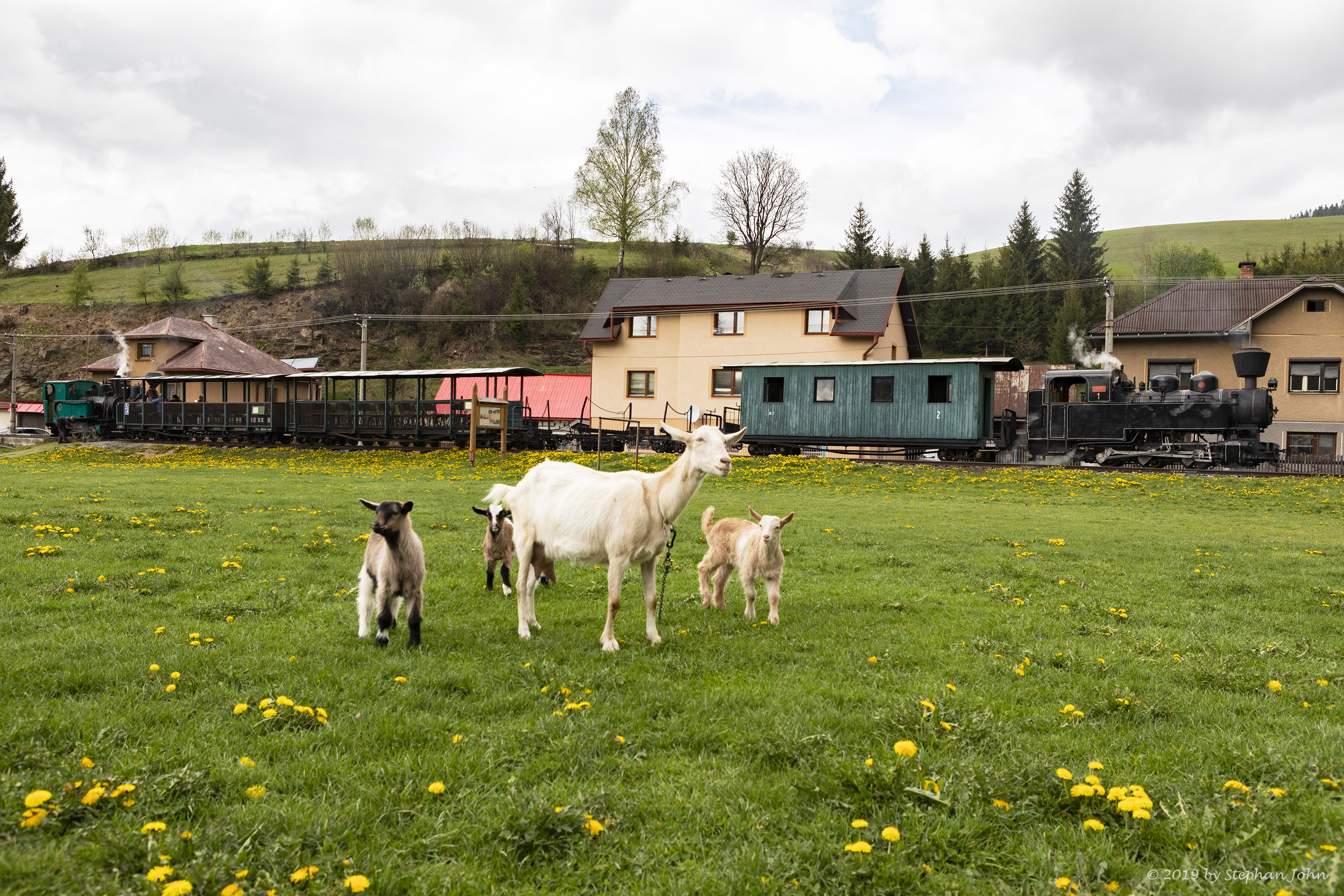 Holzzug und Regelzug im Endbahnhof Dobroč