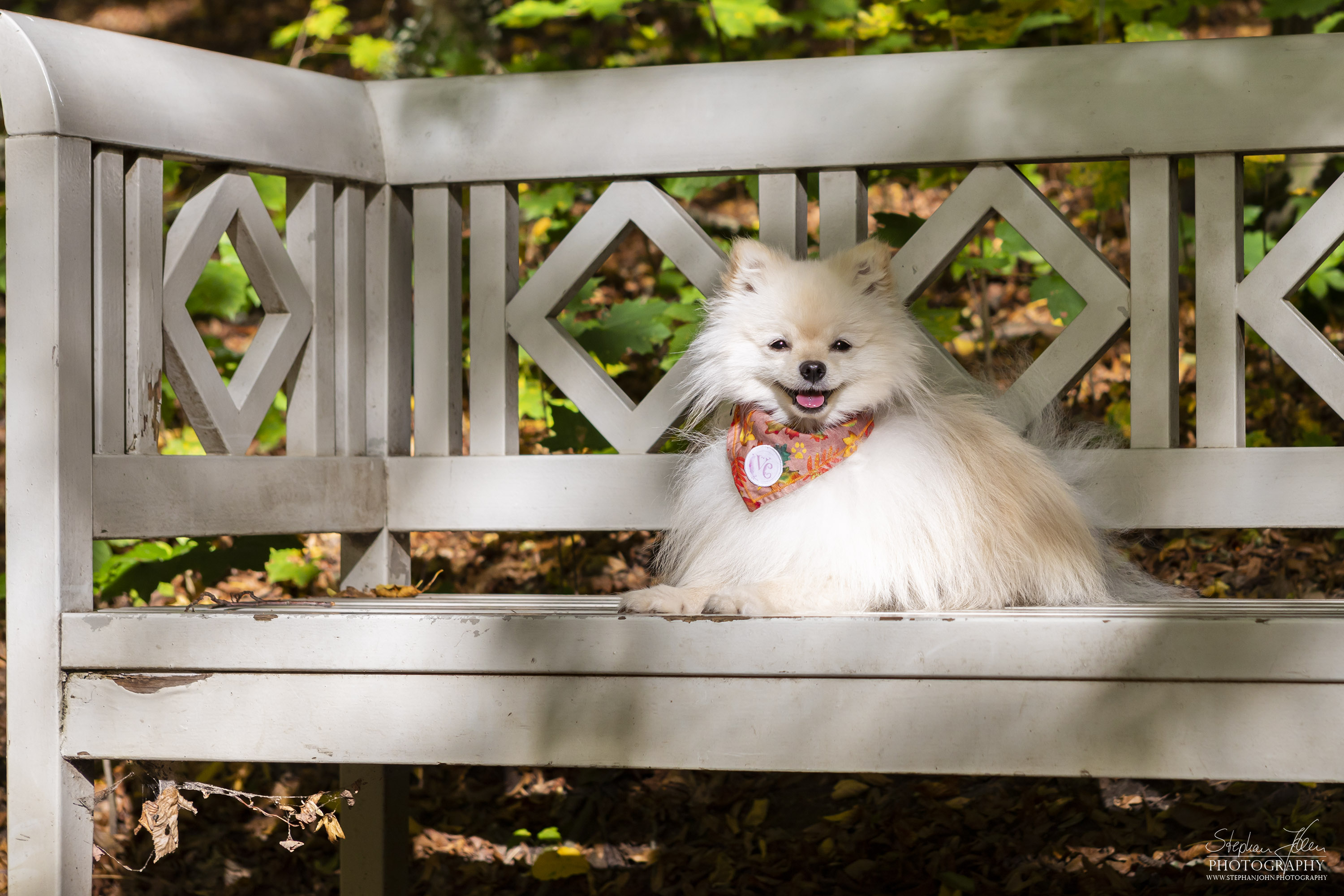 Milow im Grünefelder Park