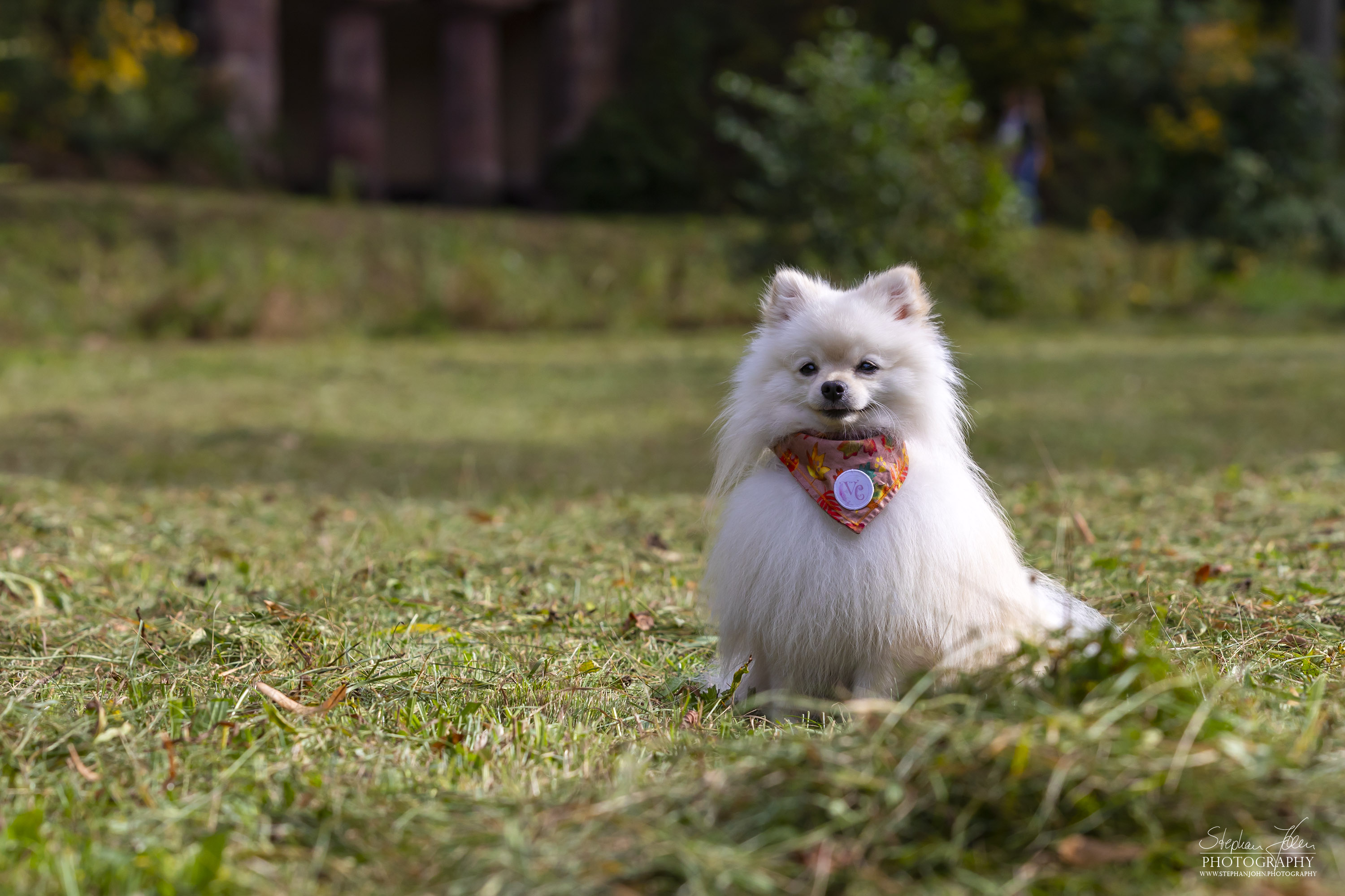 Milow im Grünefelder Park