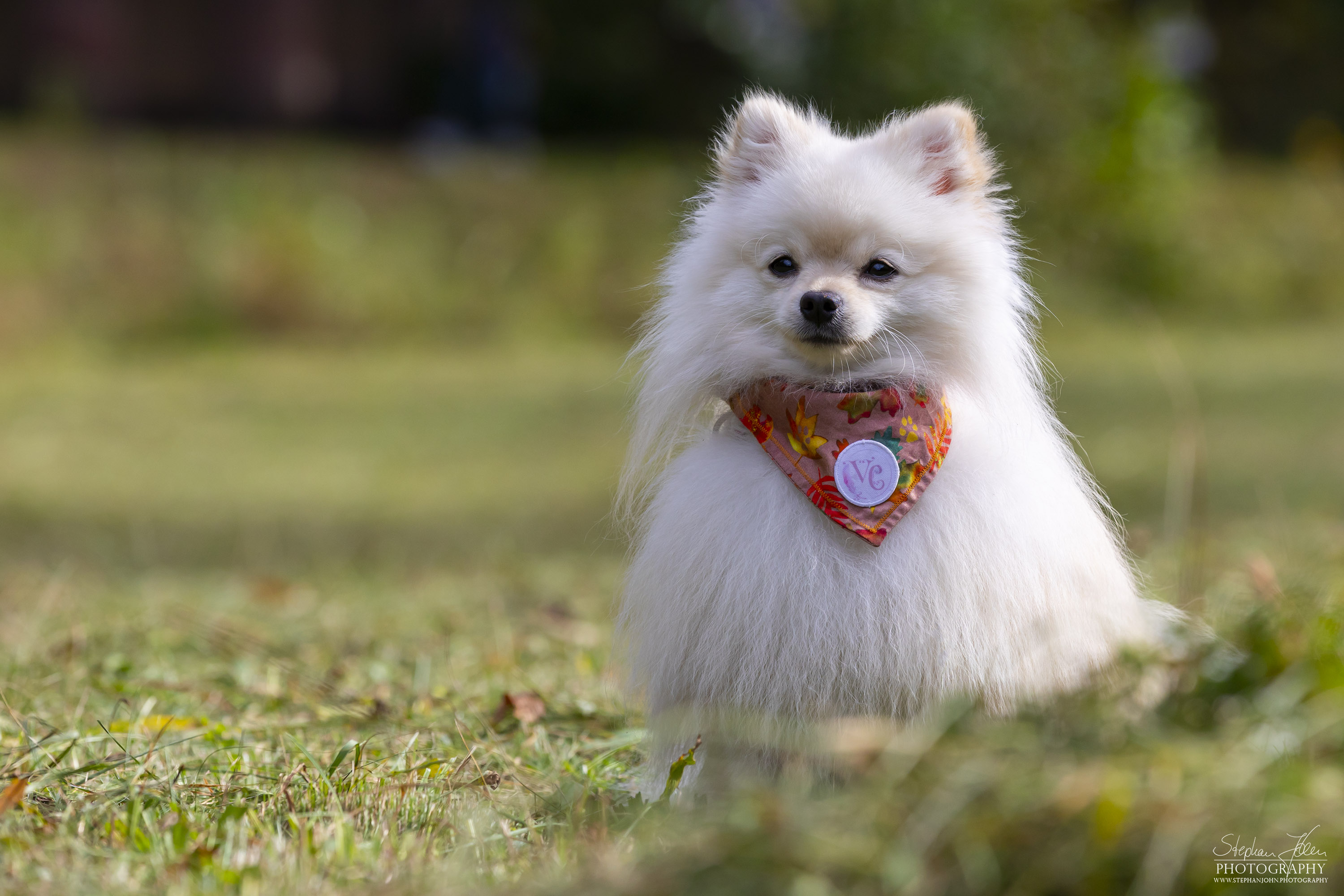 Milow im Grünefelder Park