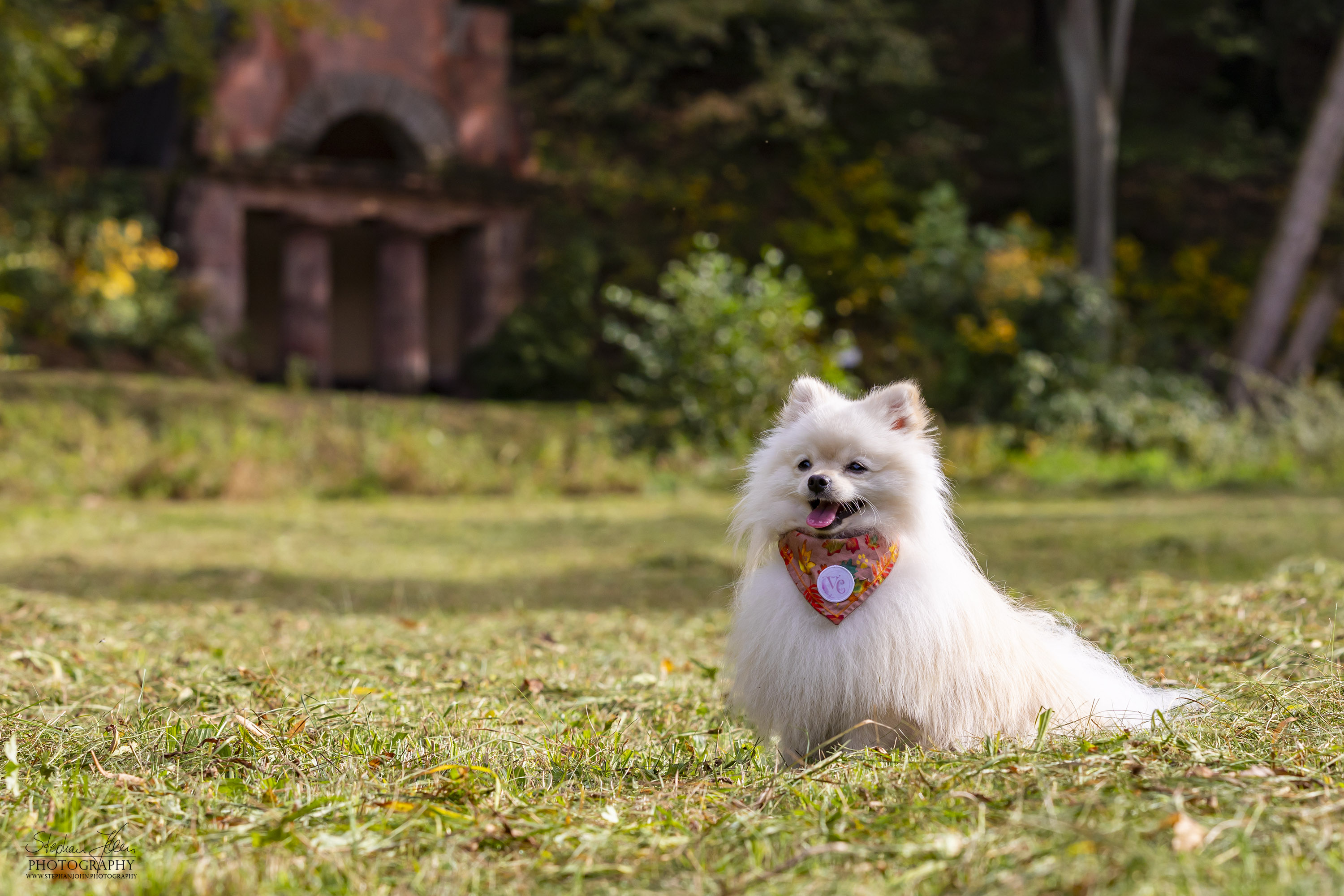 Milow im Grünefelder Park