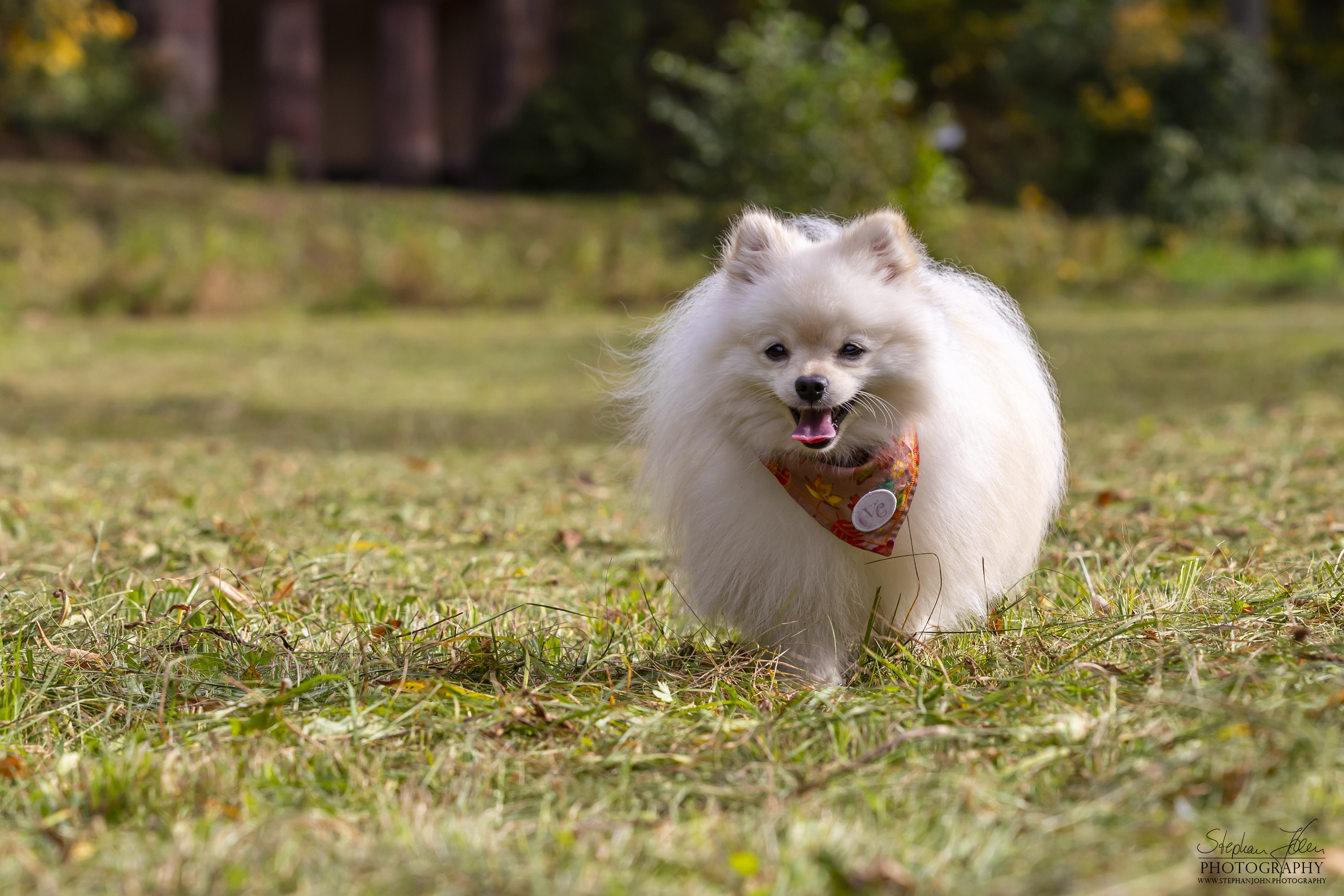 Milow im Grünefelder Park