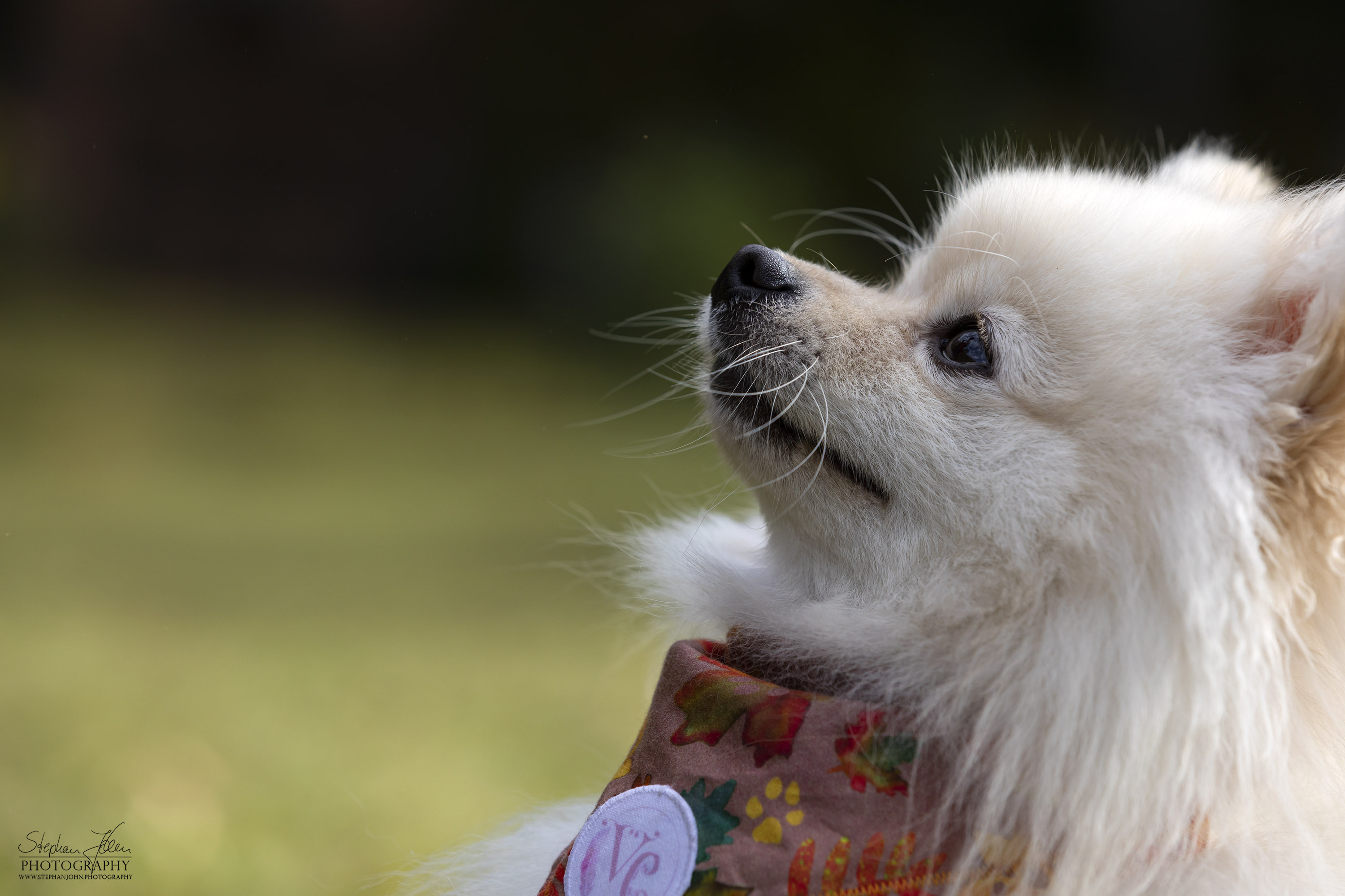 Milow im Grünefelder Park