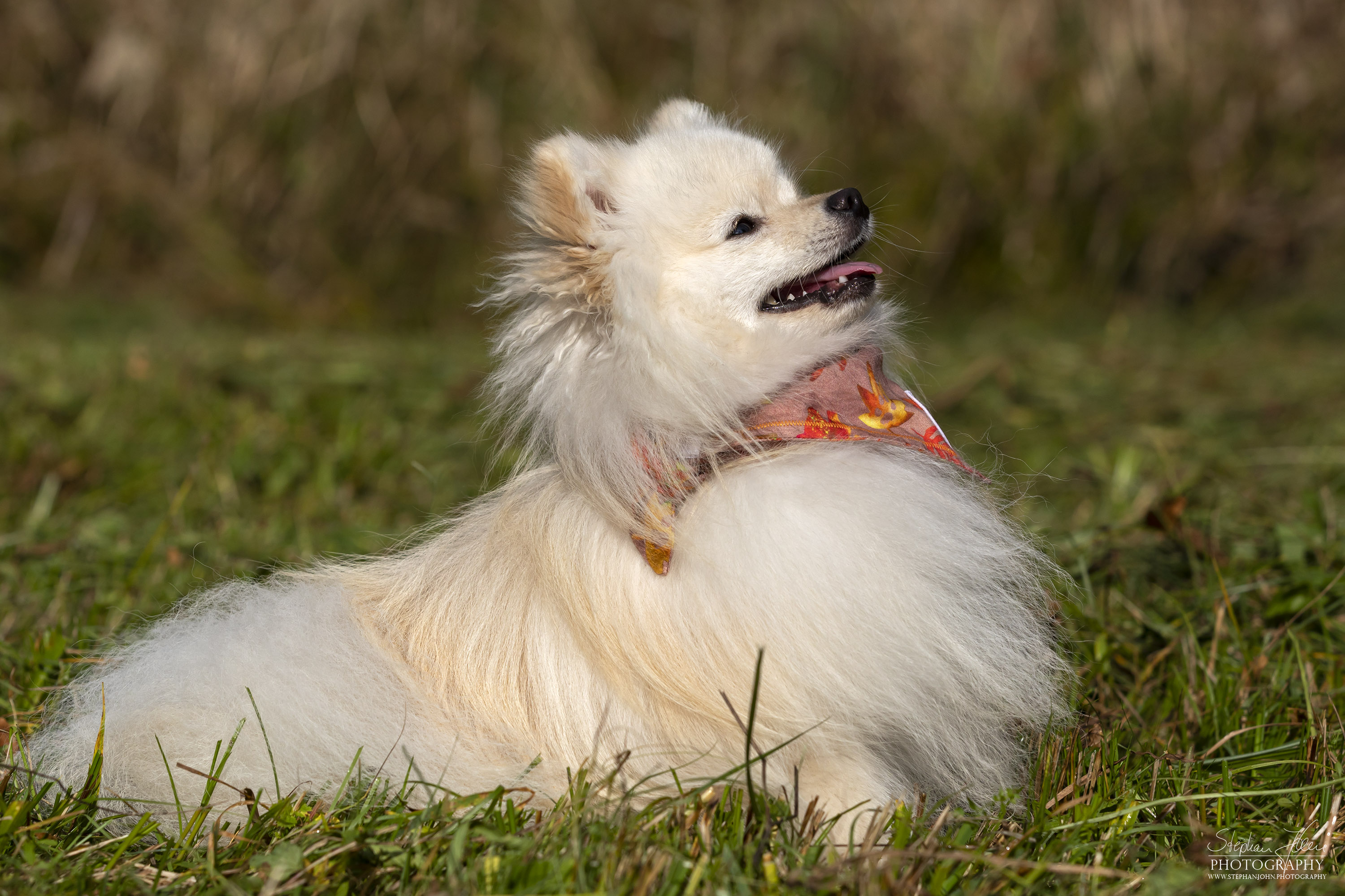 Milow im Grünefelder Park