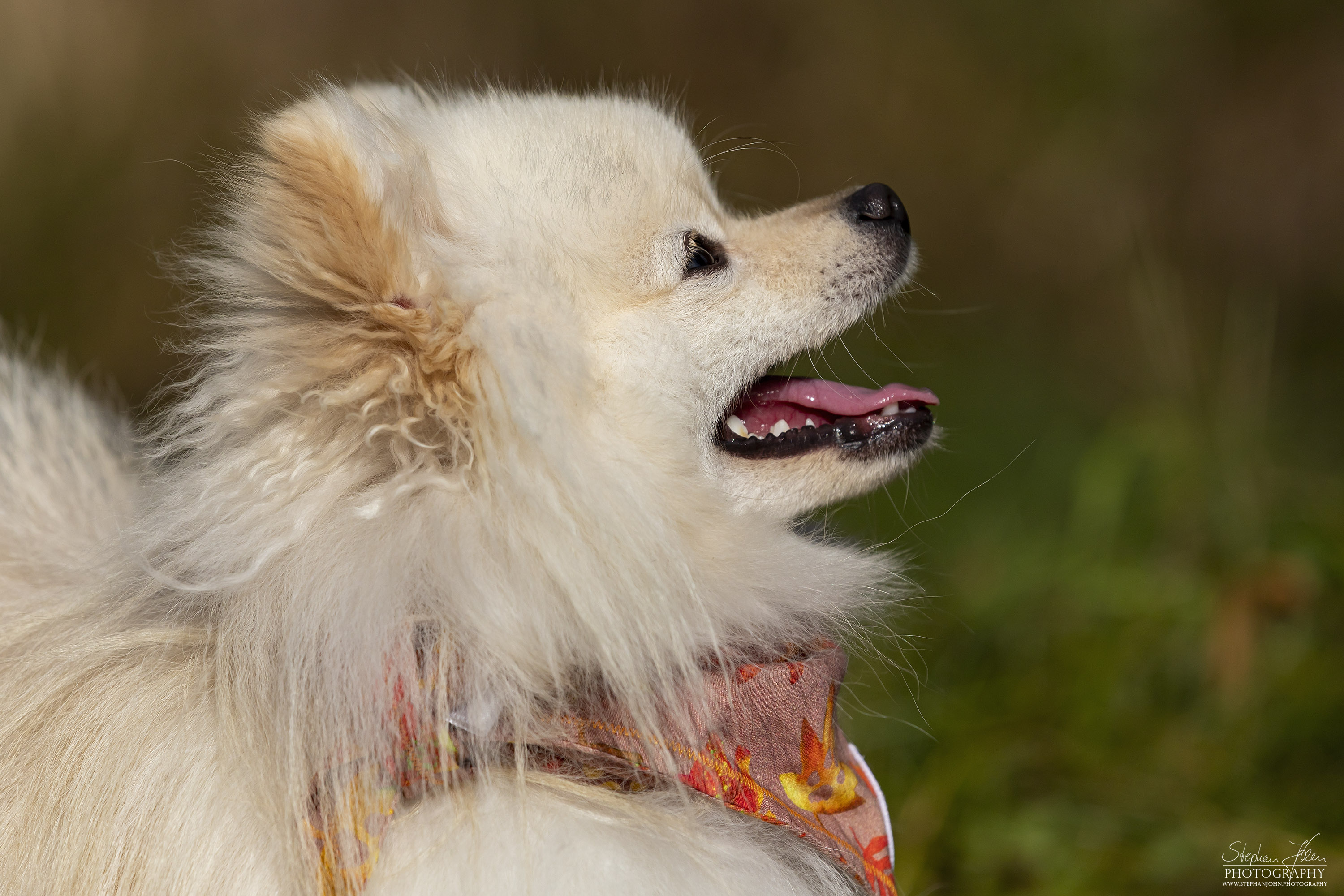 Milow im Grünefelder Park