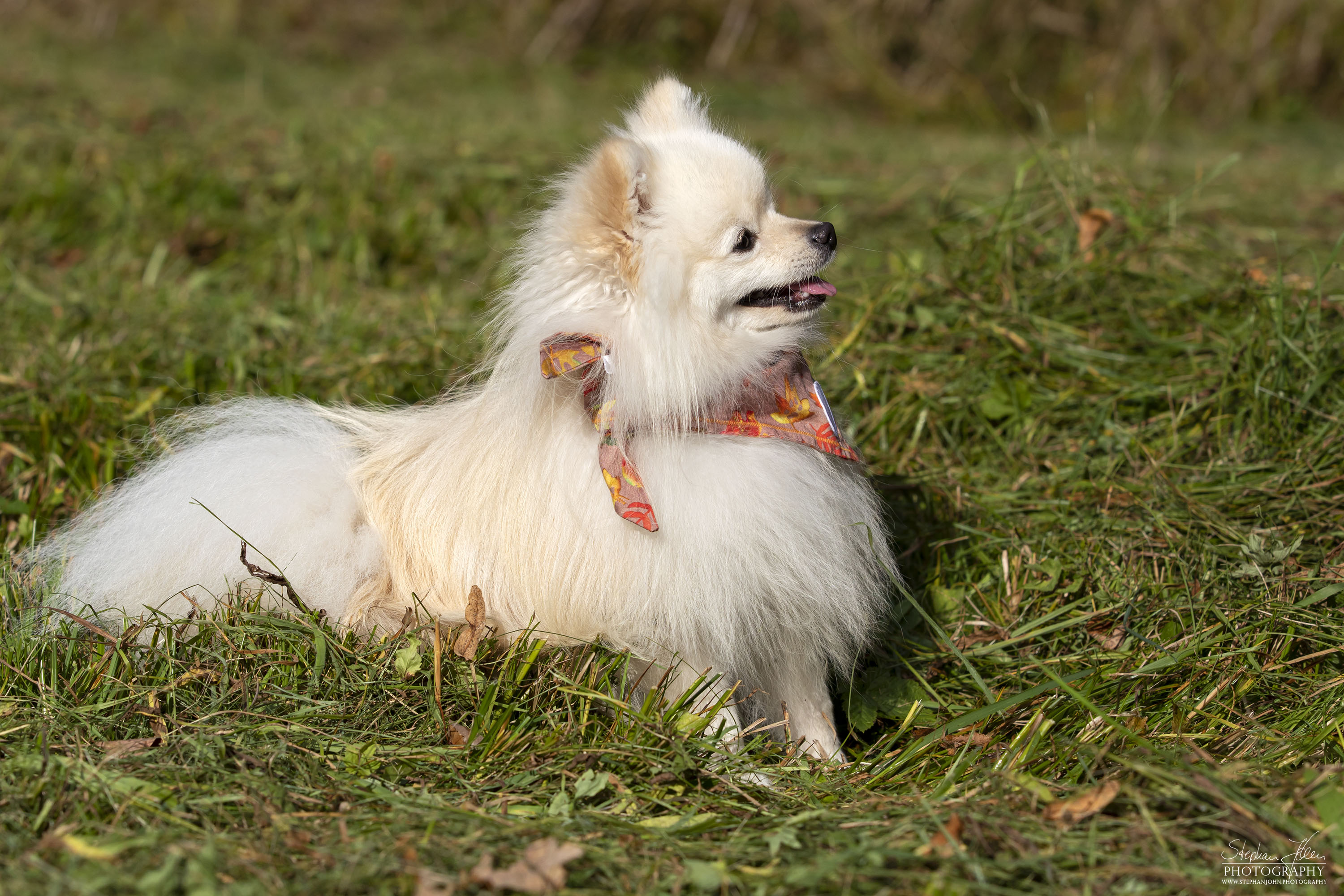 Milow im Grünefelder Park