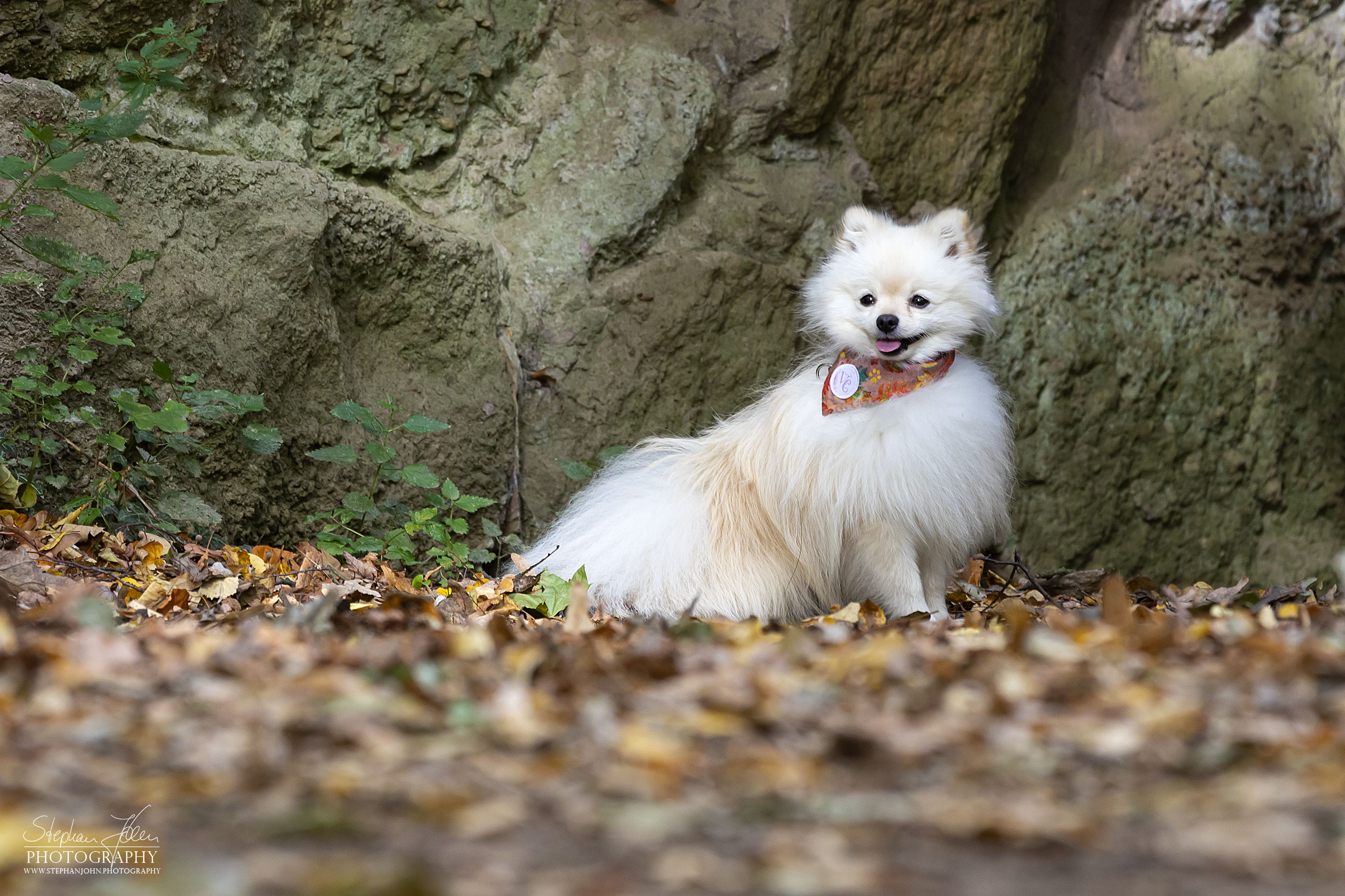 Milow im Grünefelder Park