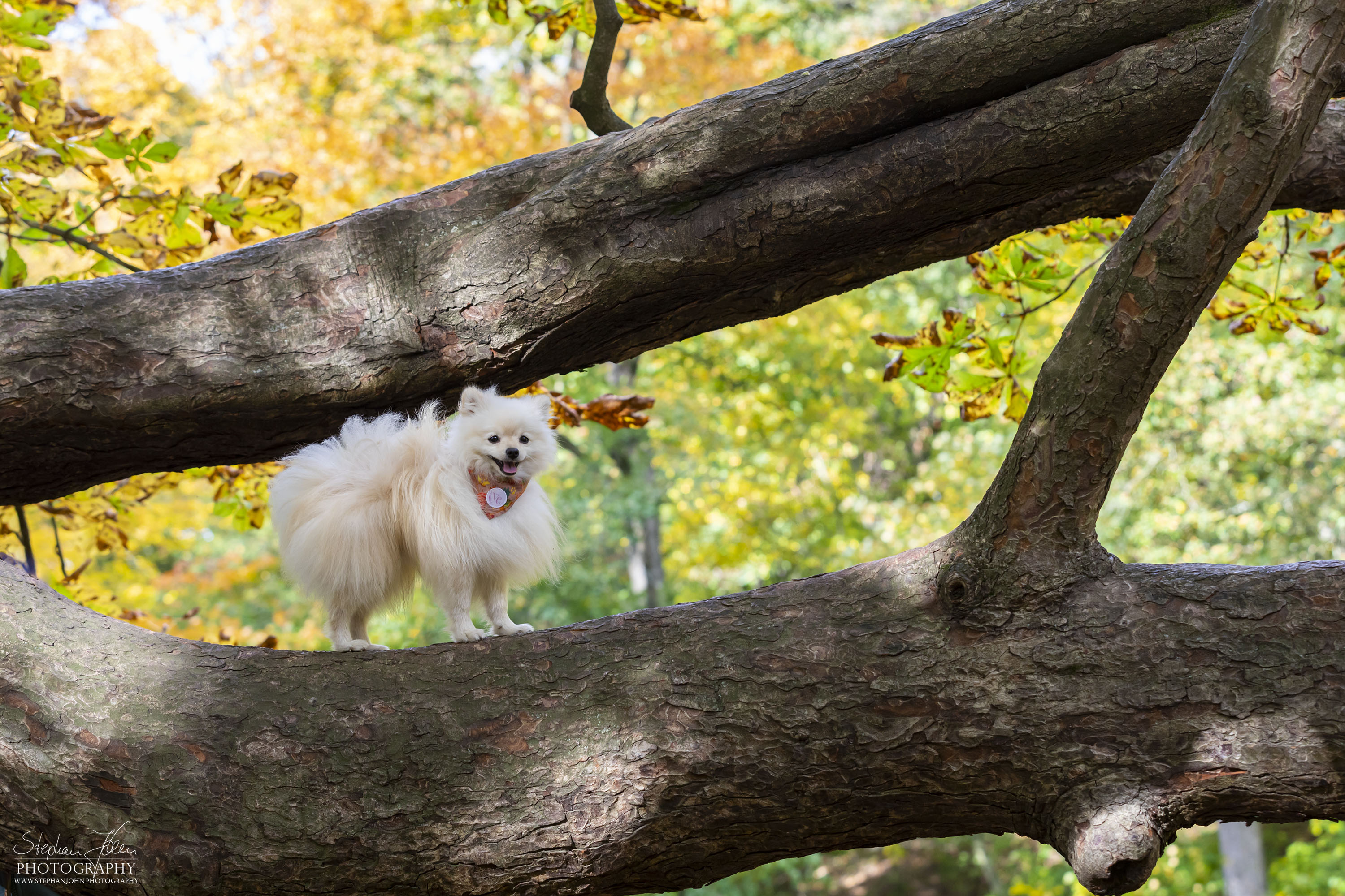 Milow im Grünefelder Park