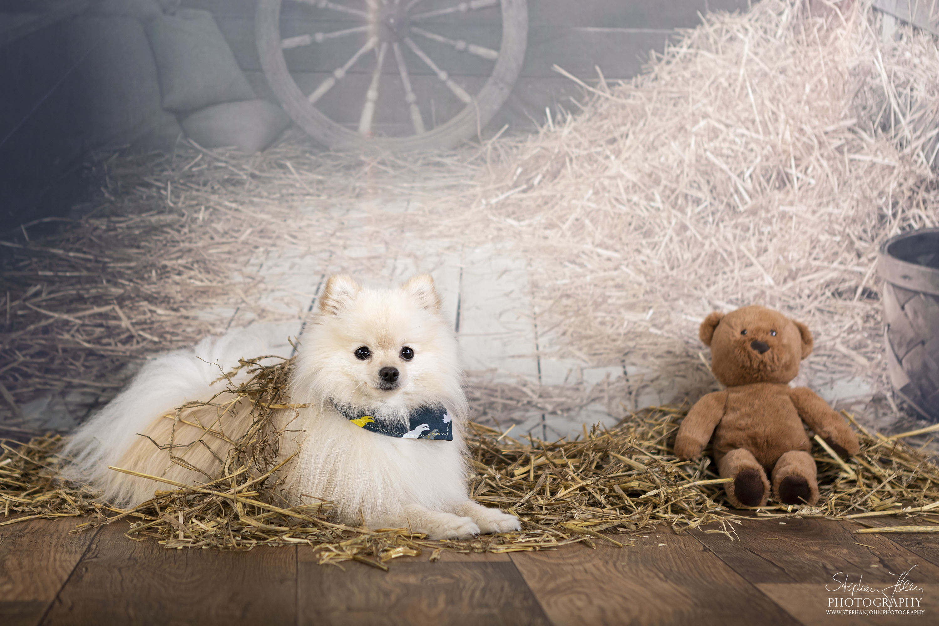 <p>Mit Milow im Fotostudio</p>