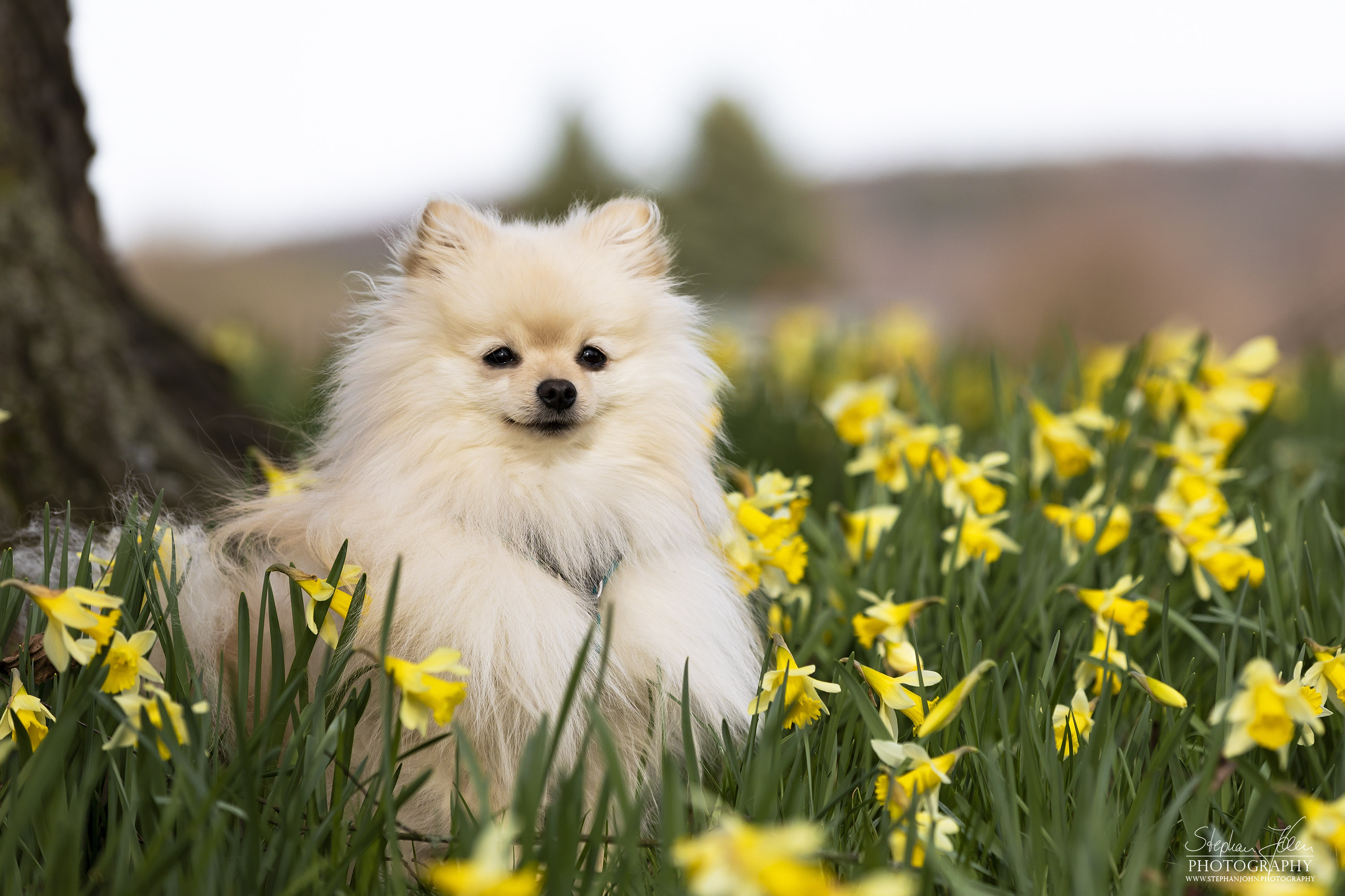 Milow im Grünefelder Park