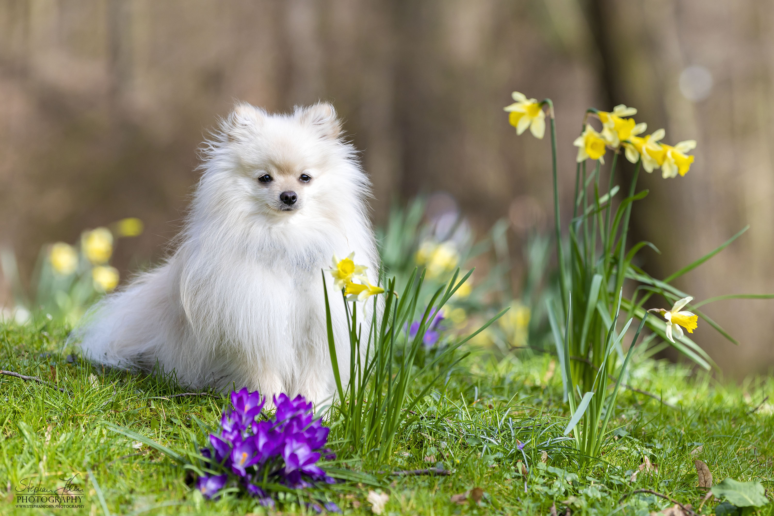 Milow im Grünefelder Park