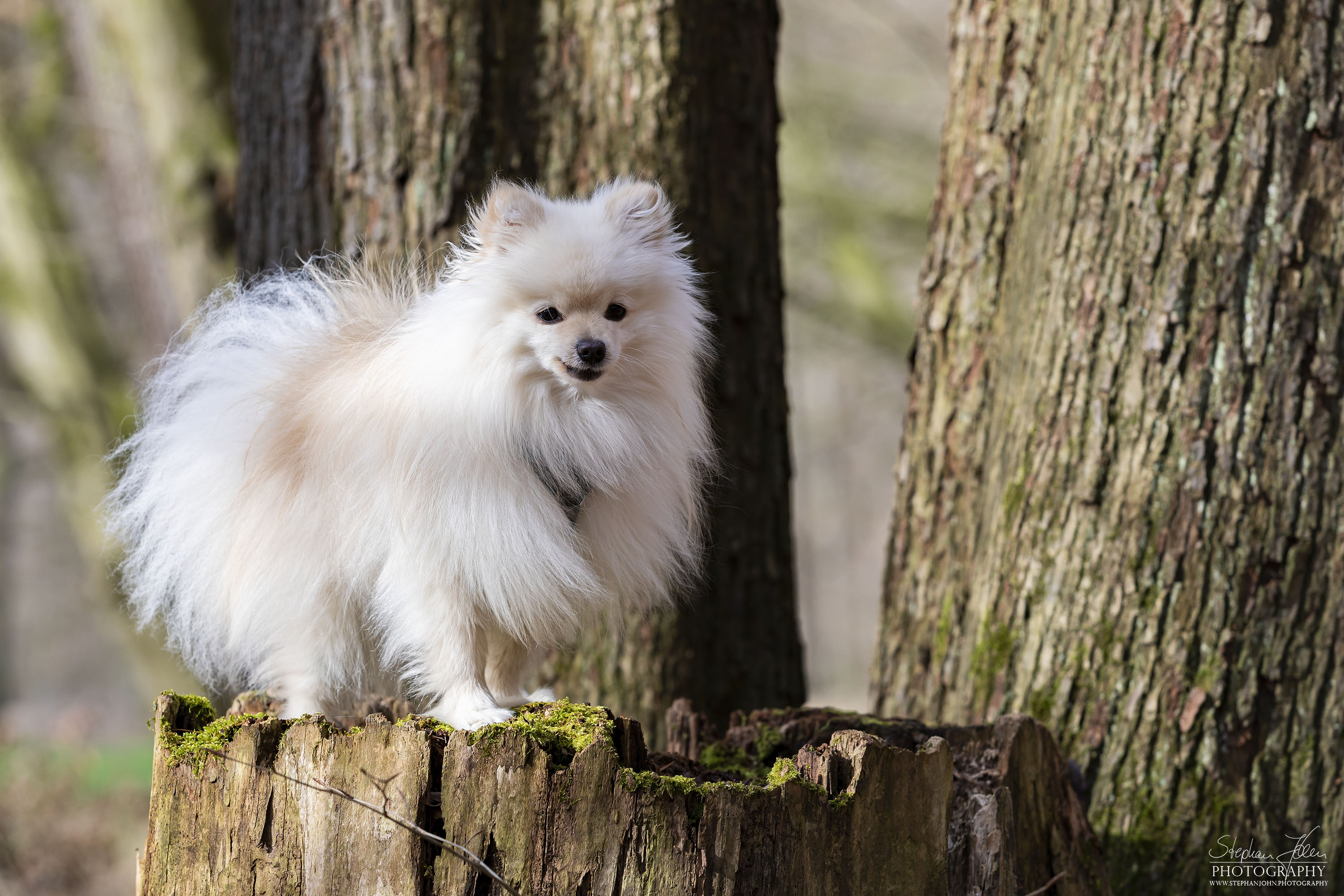 Milow im Grünefelder Park