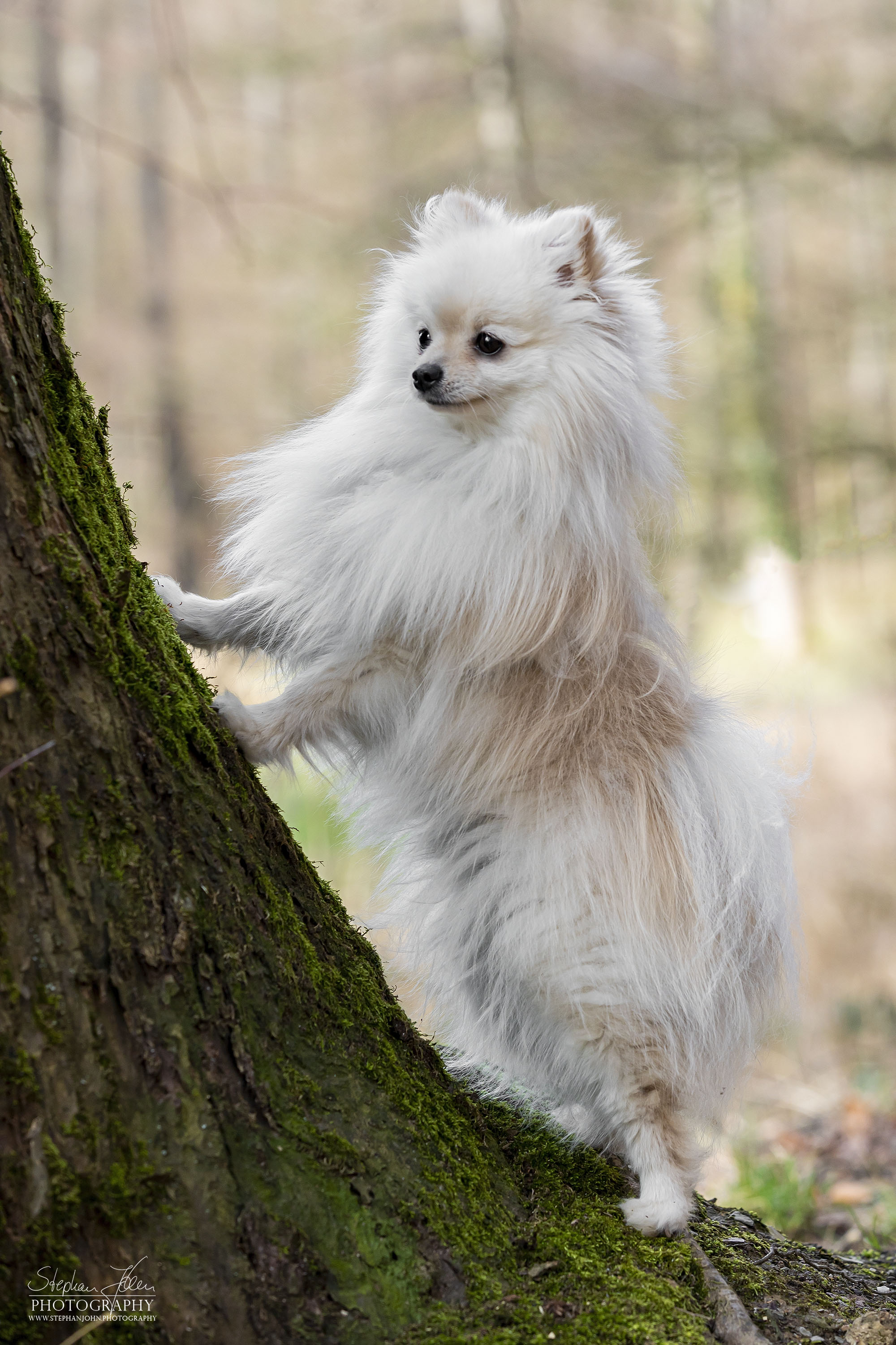 Milow im Grünefelder Park