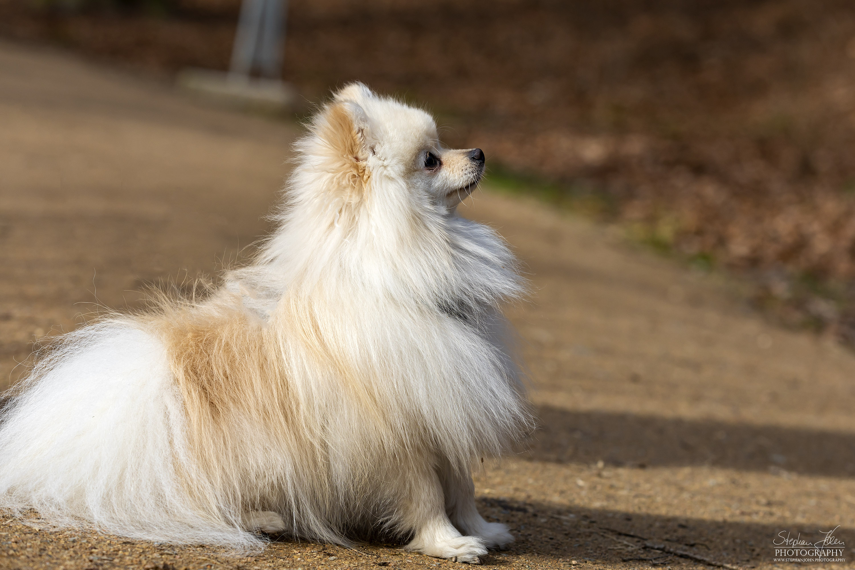 Milow im Grünefelder Park