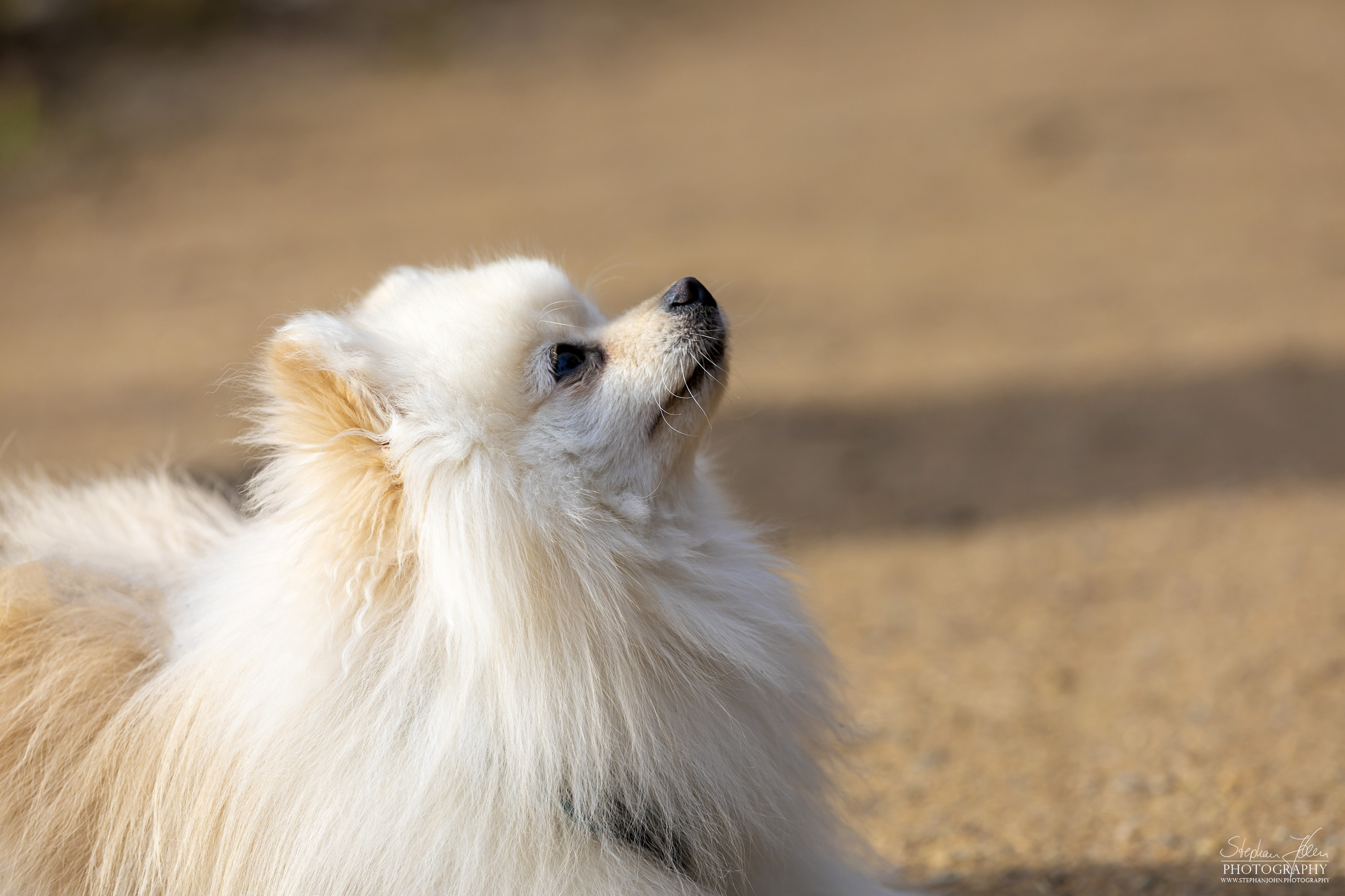 Milow im Grünefelder Park