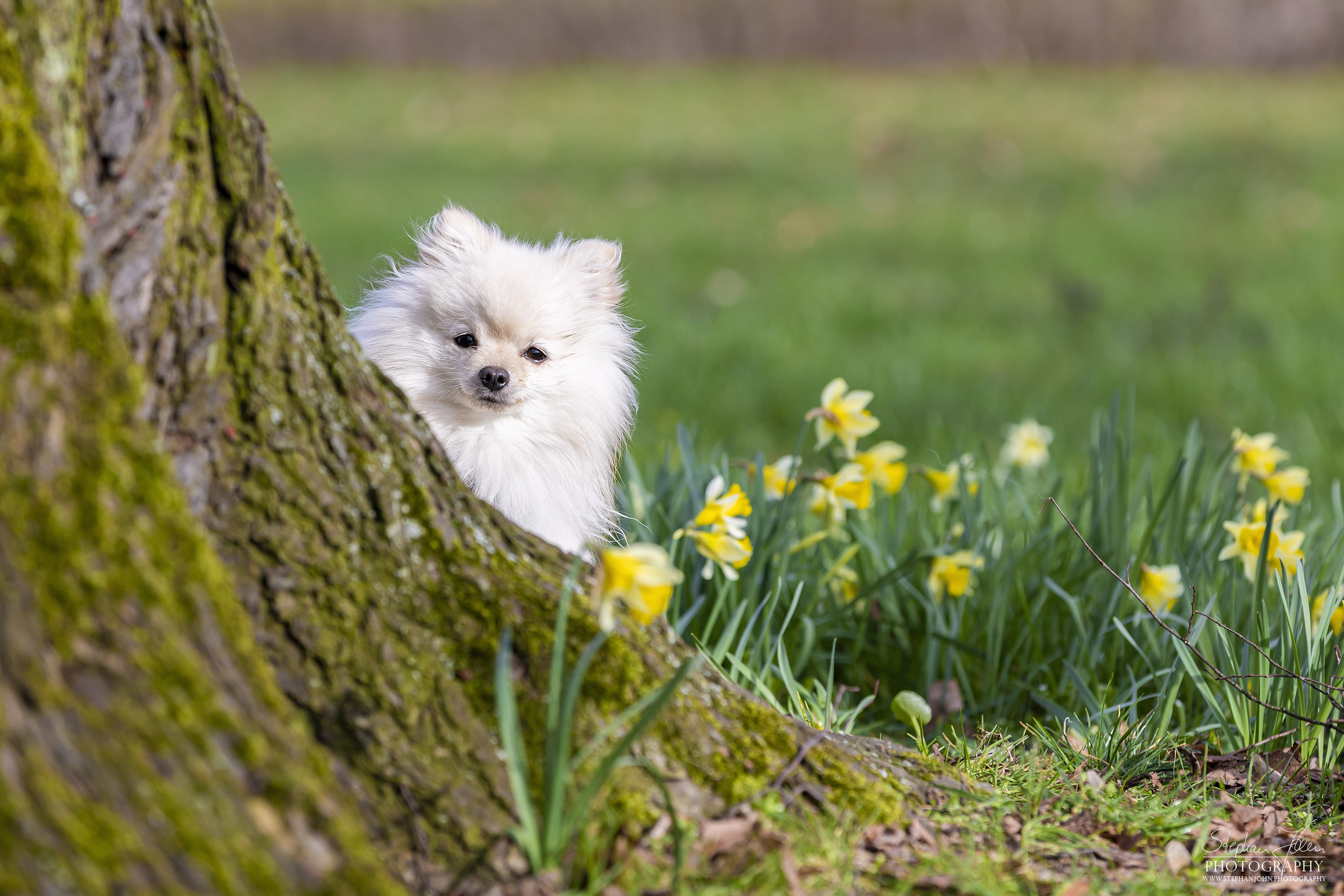 Milow im Grünefelder Park