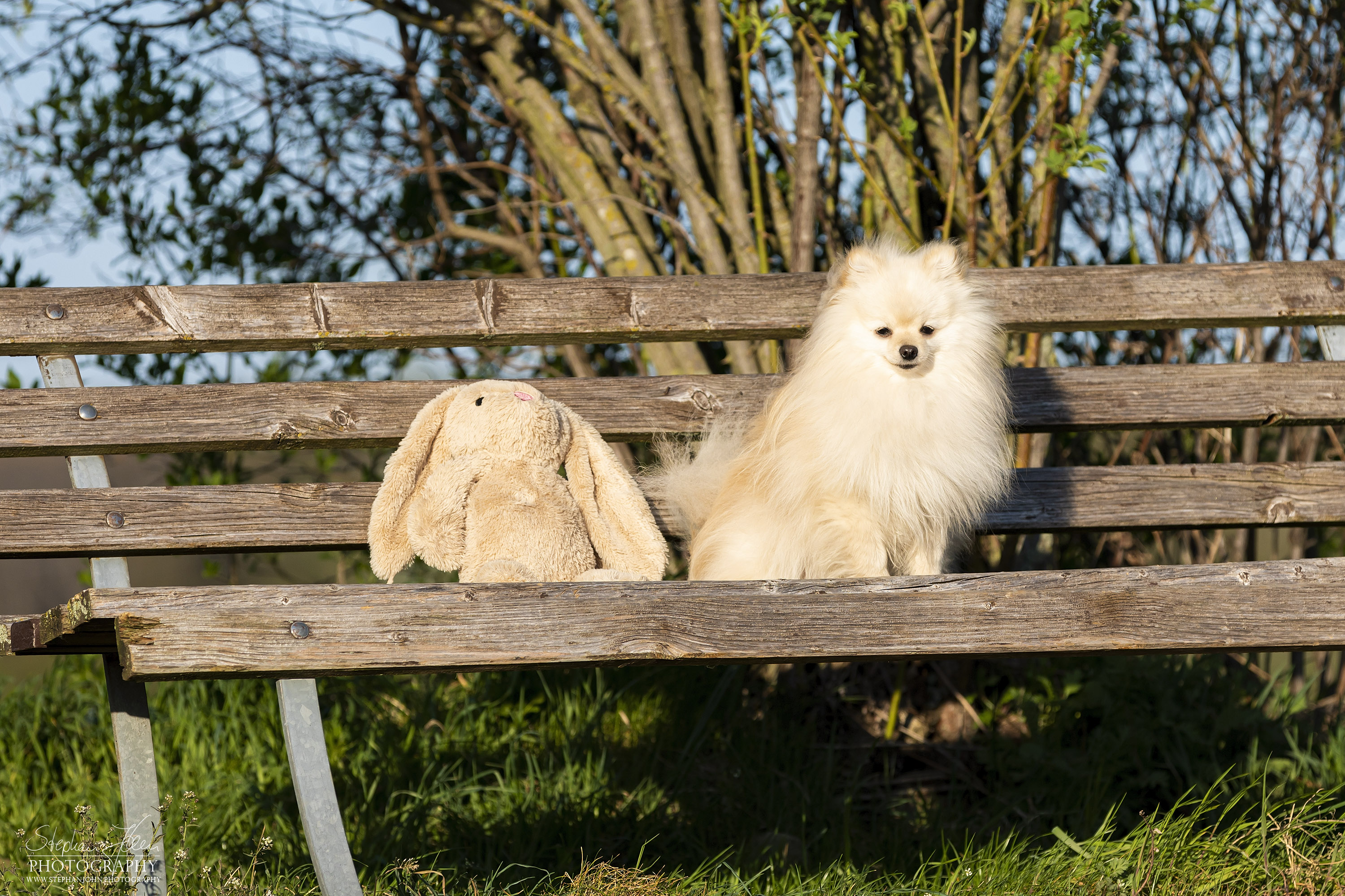 Fotoshoting mit Milow