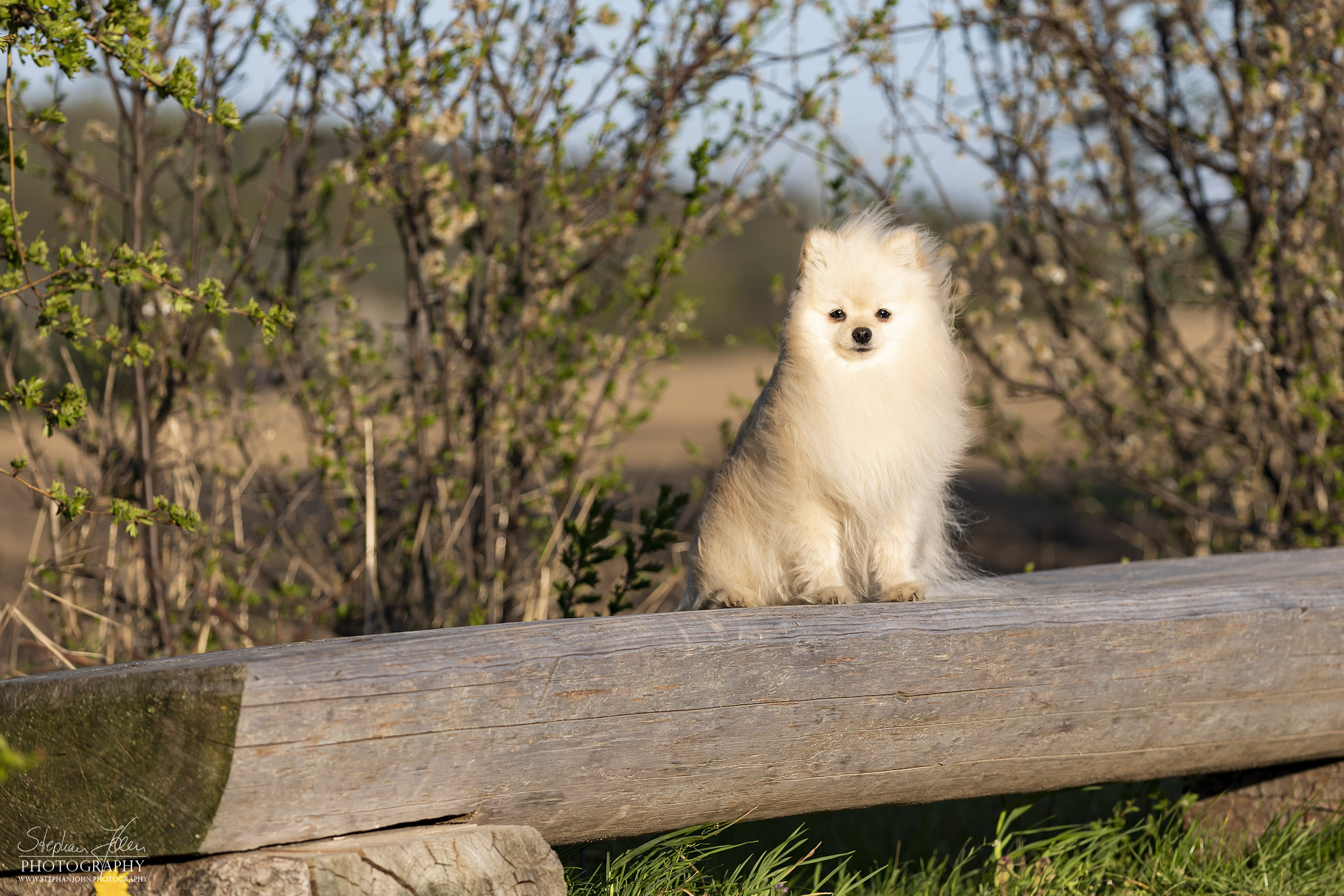 Fotoshoting mit Milow