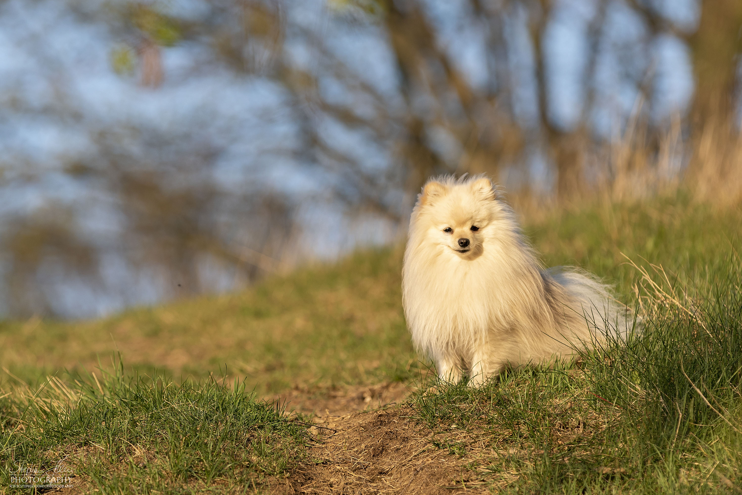 Fotoshoting mit Milow