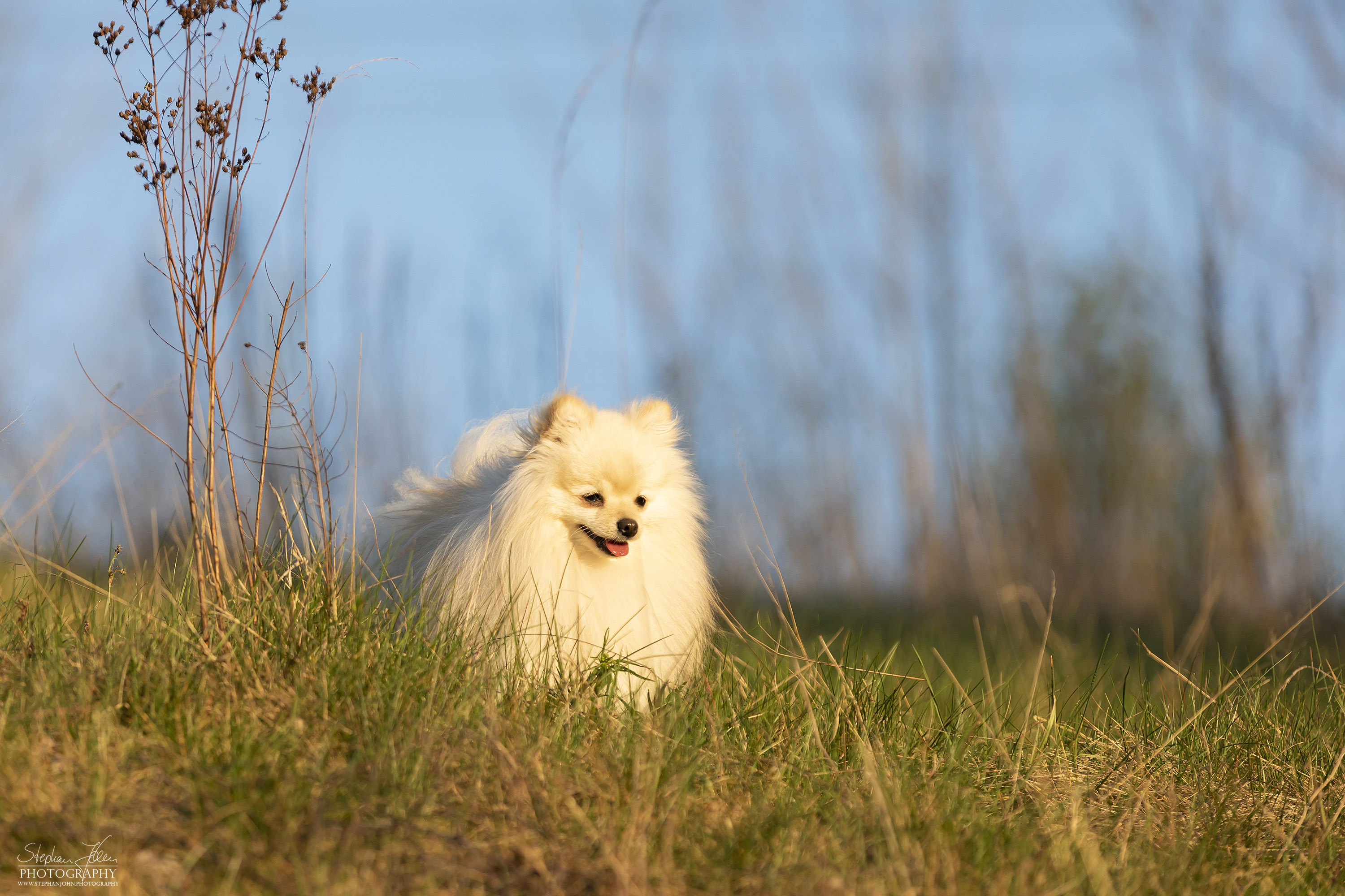 Fotoshoting mit Milow