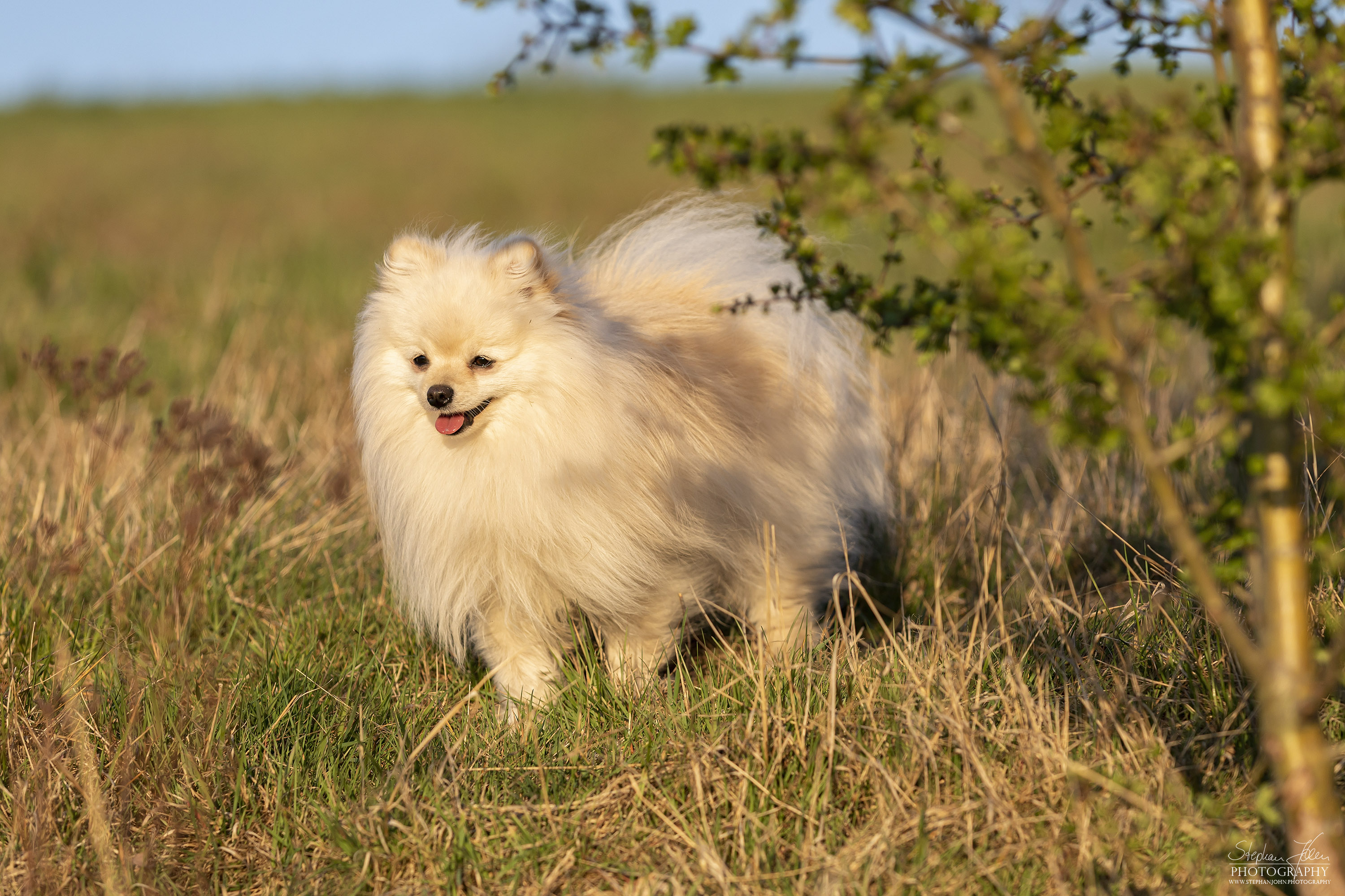 Fotoshoting mit Milow