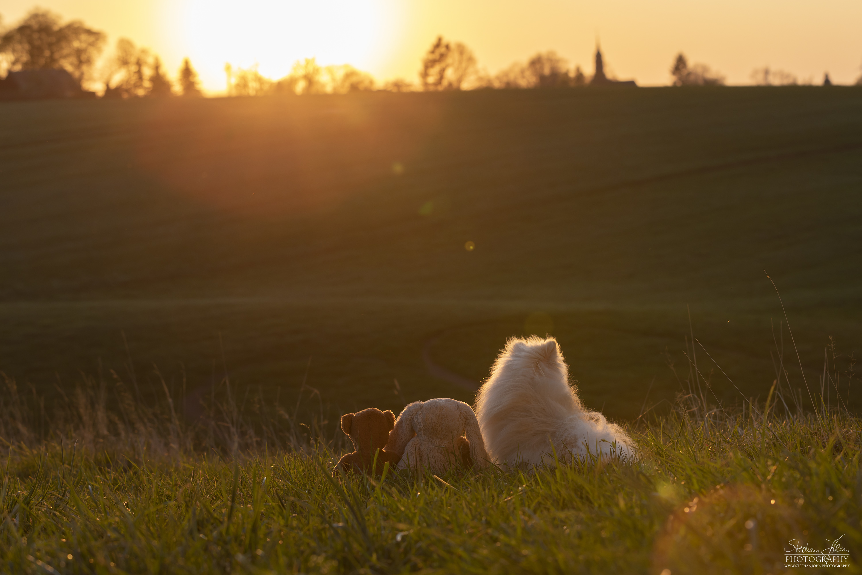 Fotoshoting mit Milow