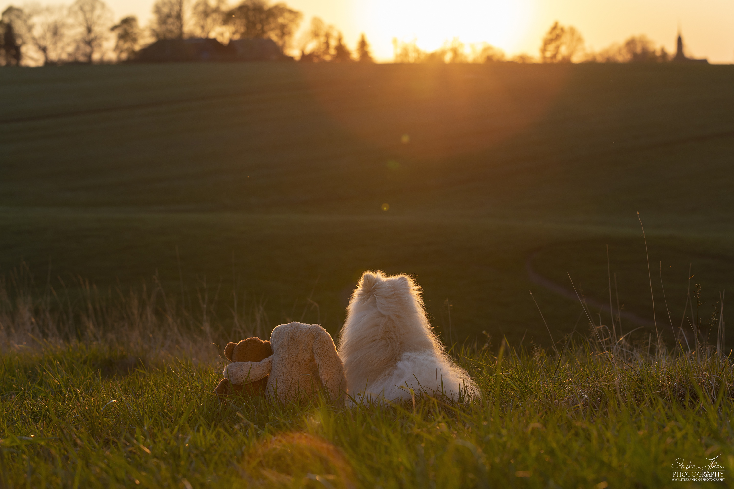 Fotoshoting mit Milow