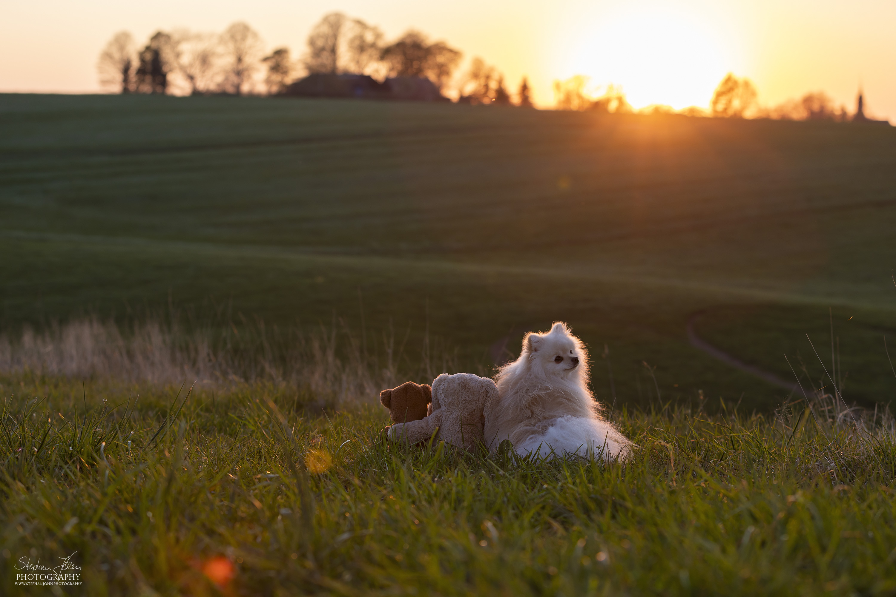 Fotoshoting mit Milow