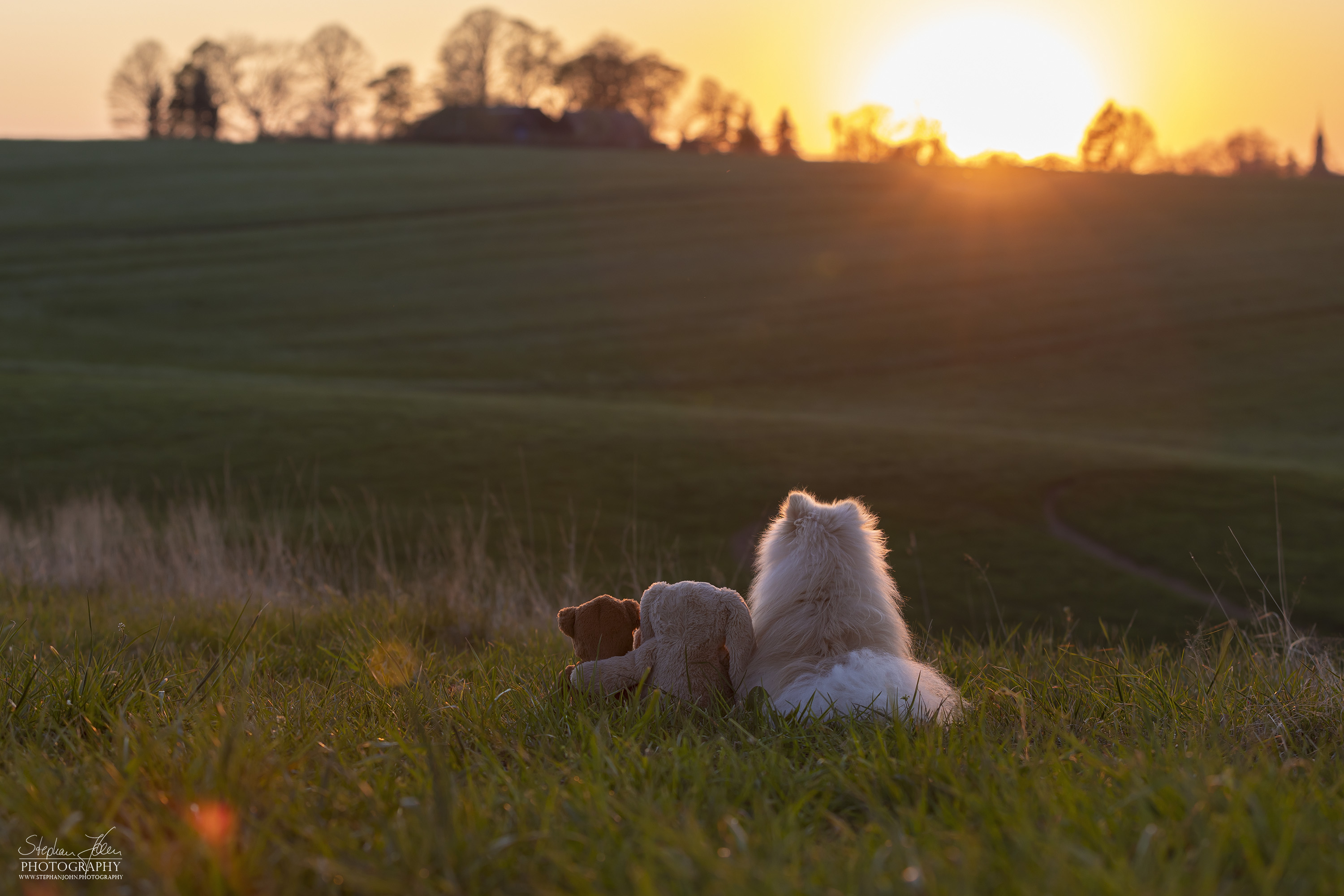 Fotoshoting mit Milow