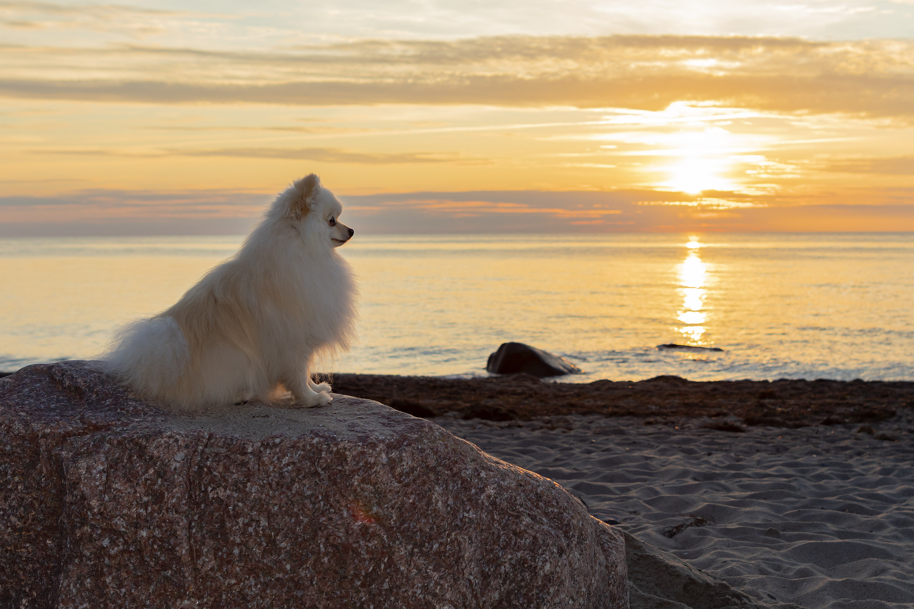 Milow in Rerik am Ostseestrand