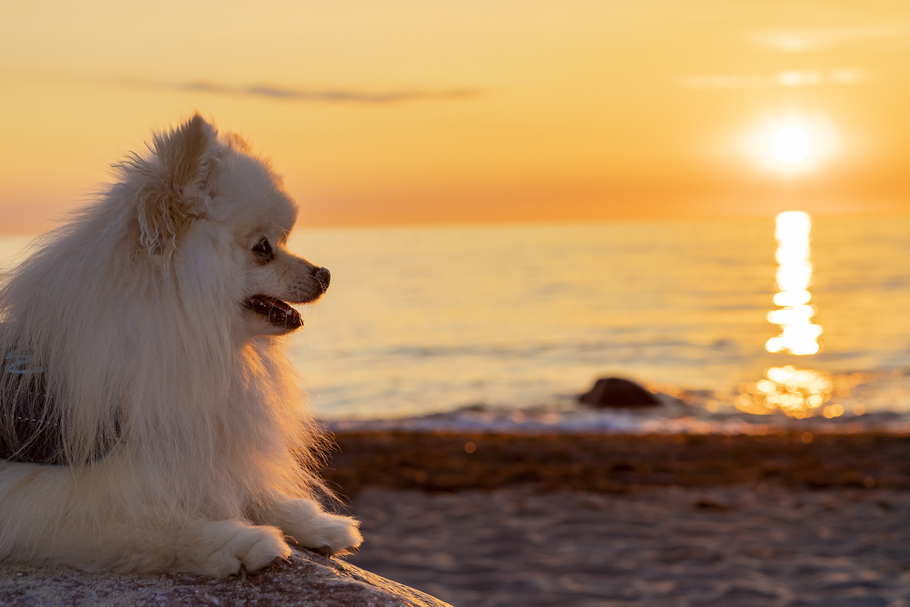 Milow in Rerik am Ostseestrand