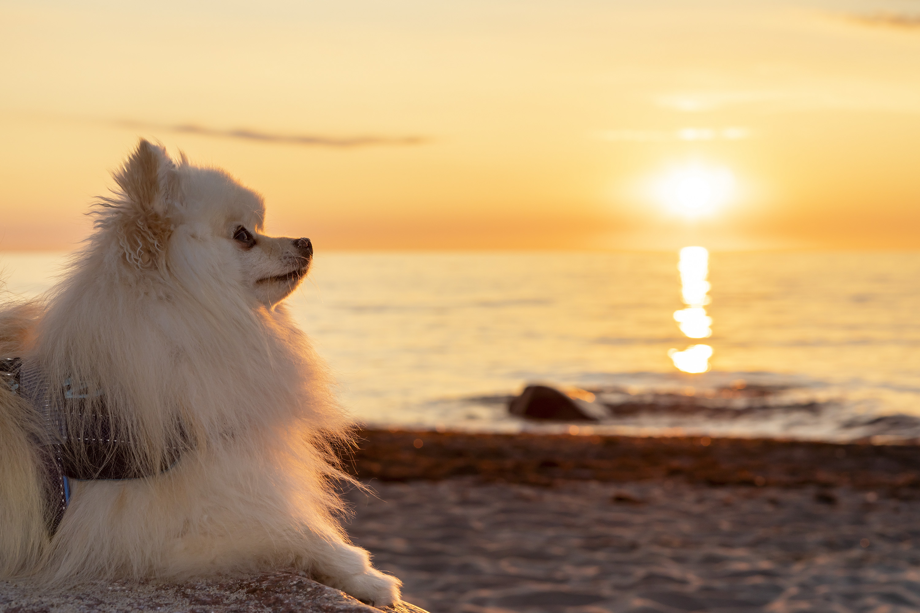 Milow in Rerik am Ostseestrand