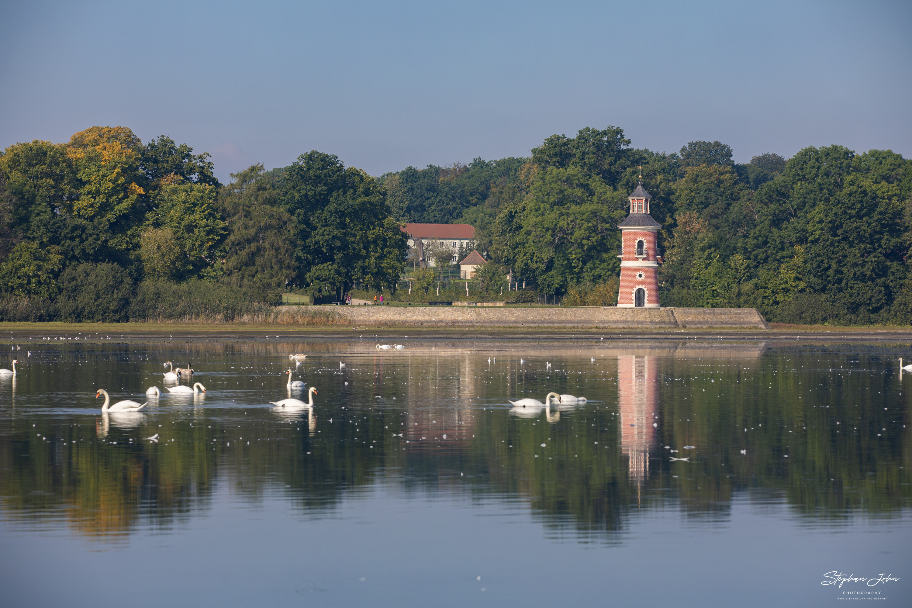 Schwäne auf dem Niederer Großteich Bärnsdorf vor dem Leuchtturm