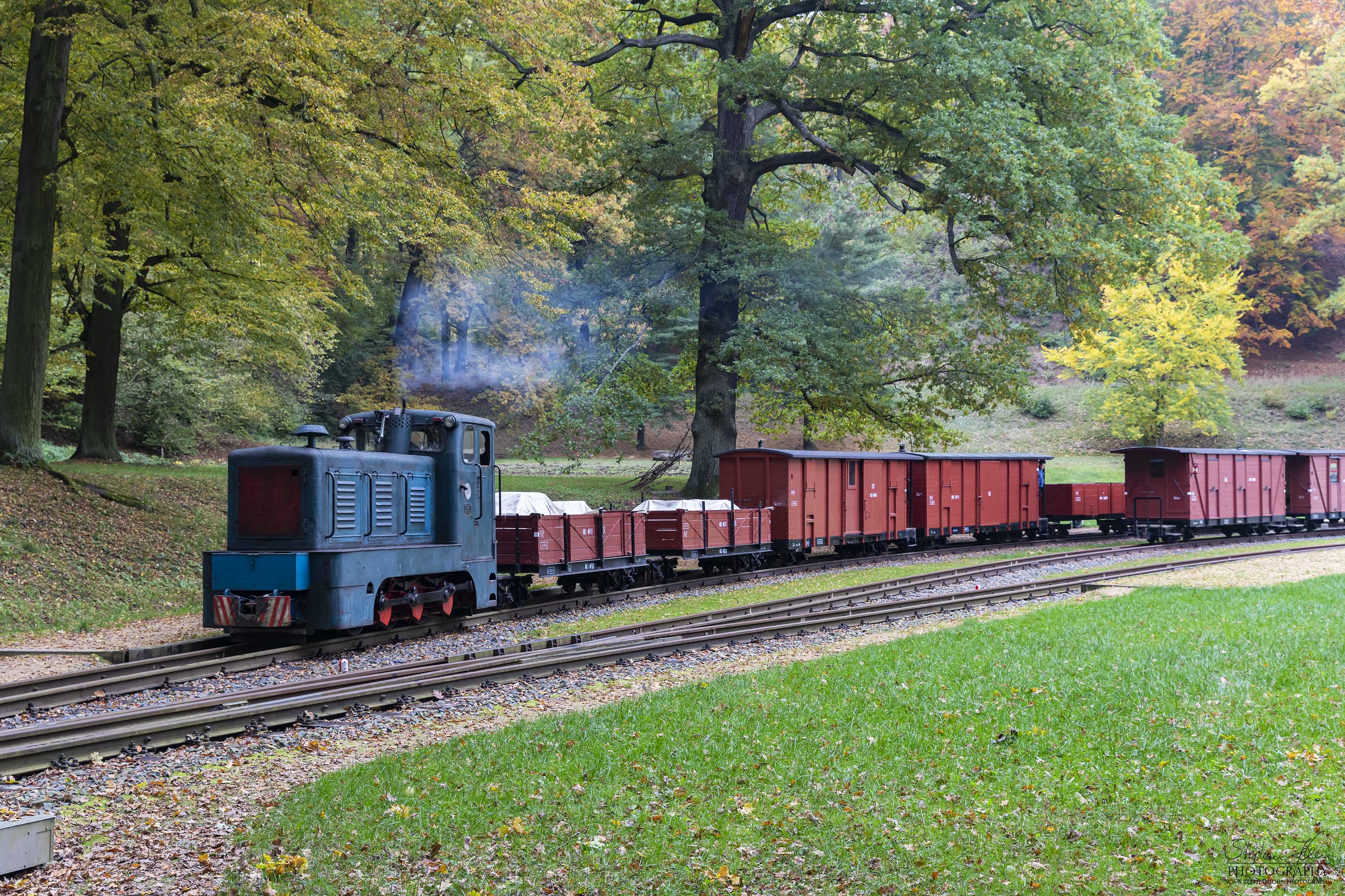 Güterzugausfahrt aus dem Bahnhof Bad Muskau