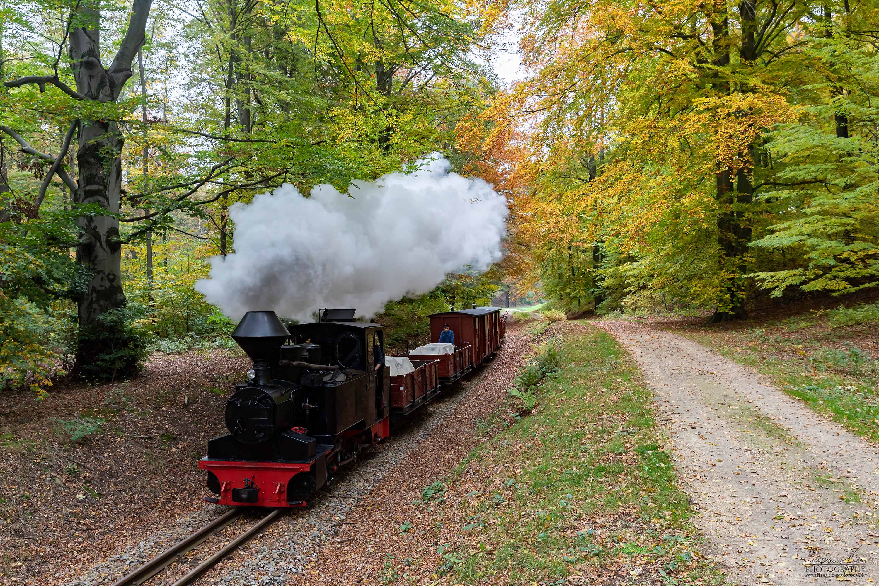 Lok 99 3312-8 DIANA mit einem Güterzug von Bad Muskau in Richtung Weißwasser dampft durch den bunten Herbstwald