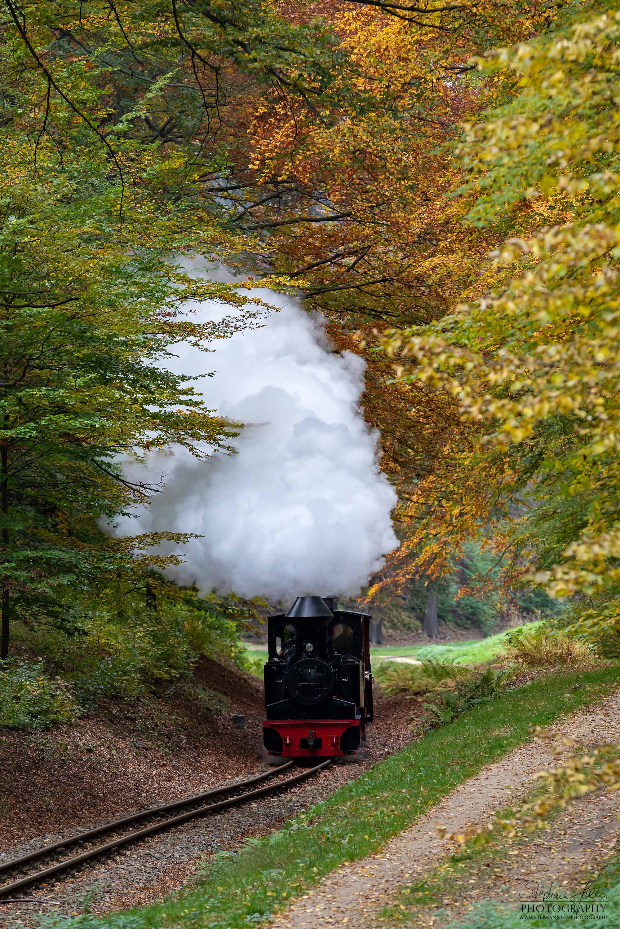 Lok 99 3312-8 DIANA mit einem Güterzug von Bad Muskau in Richtung Weißwasser dampft durch den bunten Herbstwald